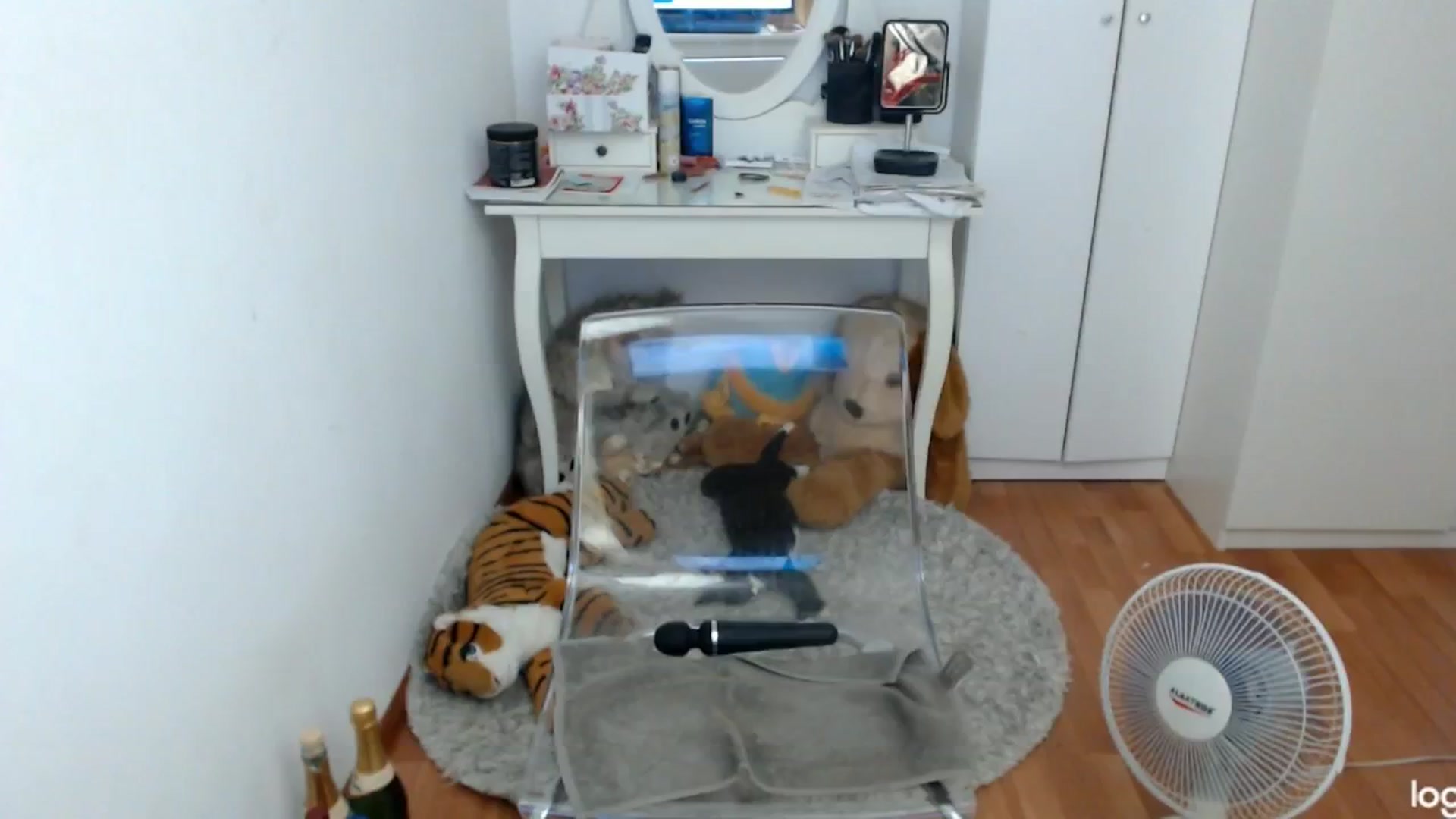 Gallery image thumbnail from SummerJewel's myfreecams stream on, 07/05/2024, 06:34 image 4 of 20