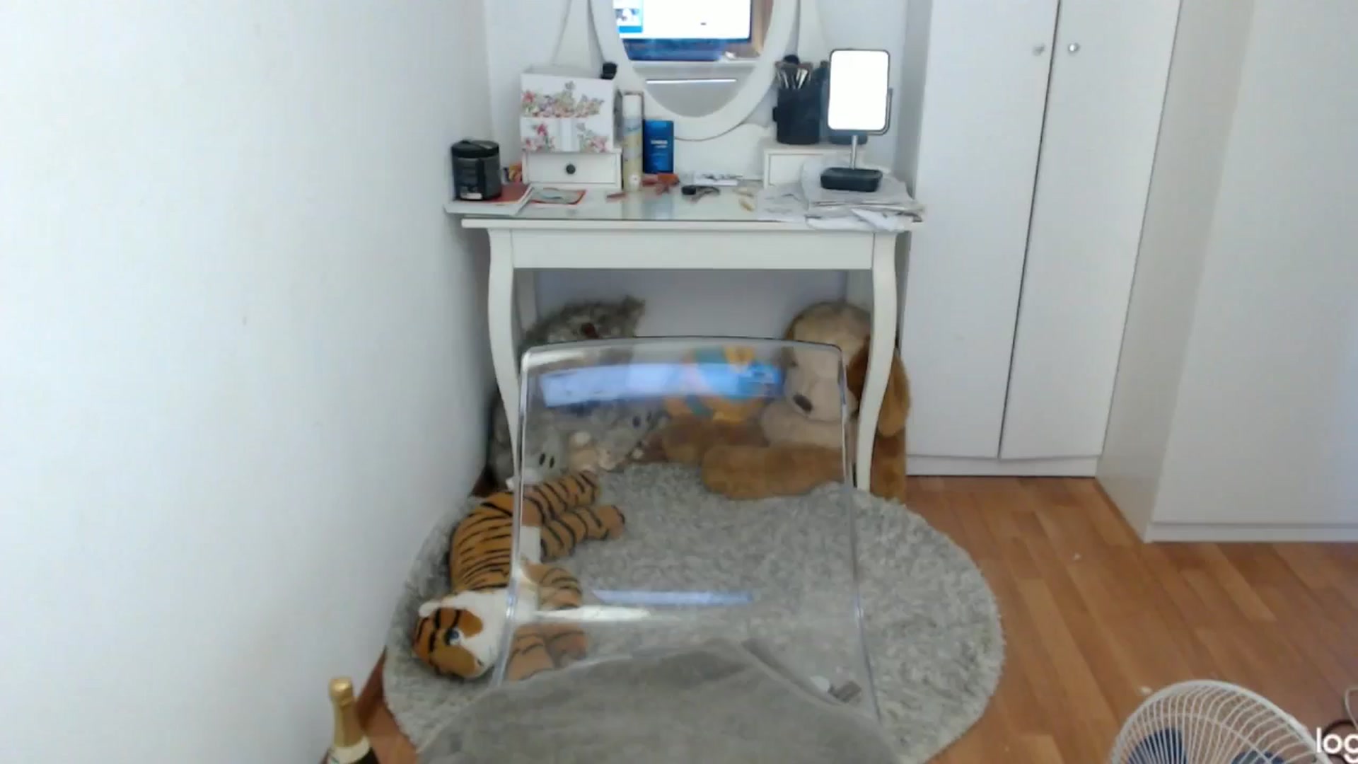 Gallery image thumbnail from SummerJewel's myfreecams stream on, 07/06/2024, 07:24 image 15 of 20