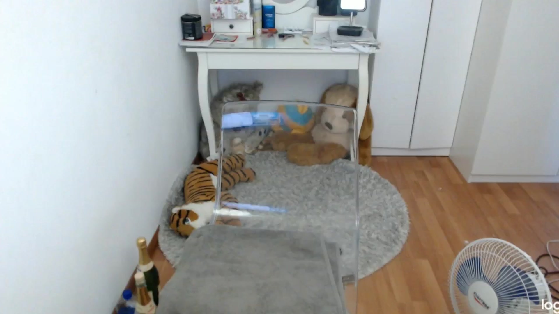 Gallery image thumbnail from SummerJewel's myfreecams stream on, 07/06/2024, 07:24 image 12 of 20