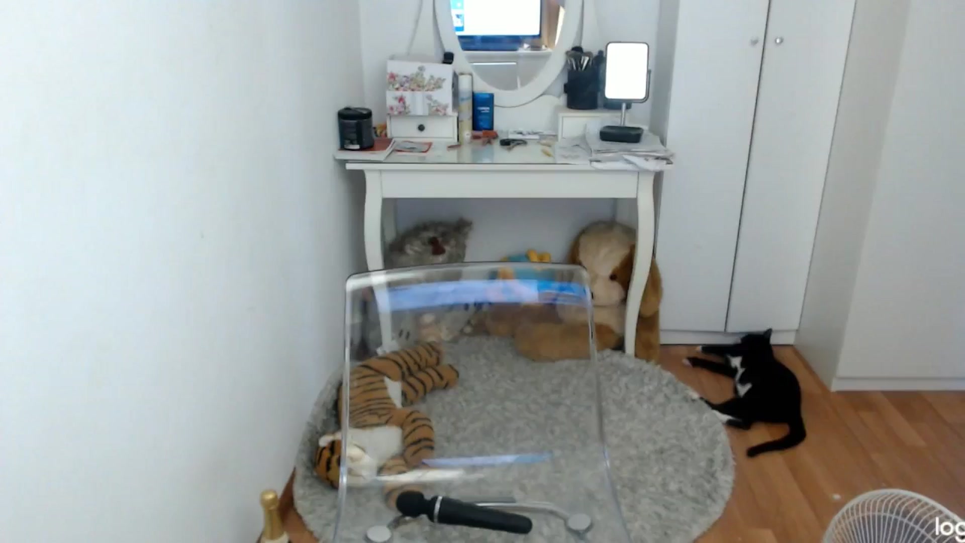 Gallery image thumbnail from SummerJewel's myfreecams stream on, 07/06/2024, 08:57 image 4 of 20