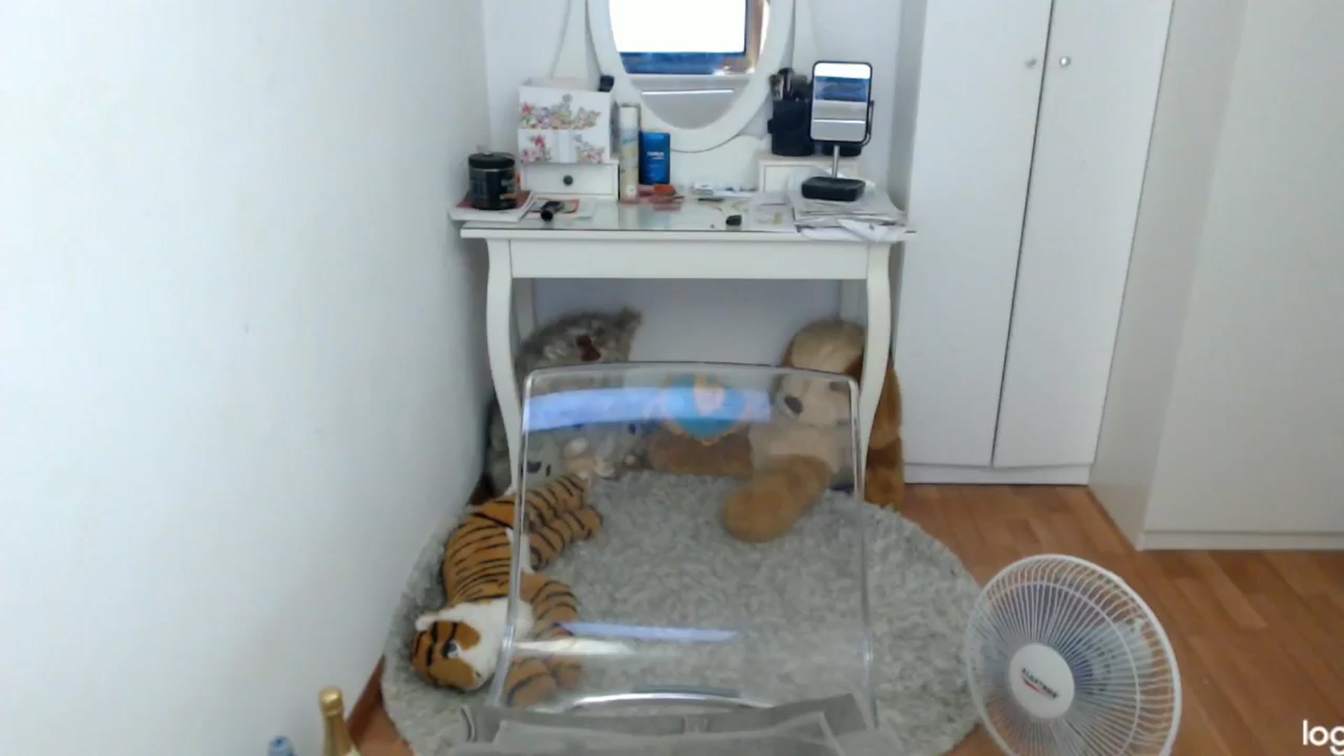 Gallery image thumbnail from SummerJewel's myfreecams stream on, 07/08/2024, 04:46 image 5 of 20