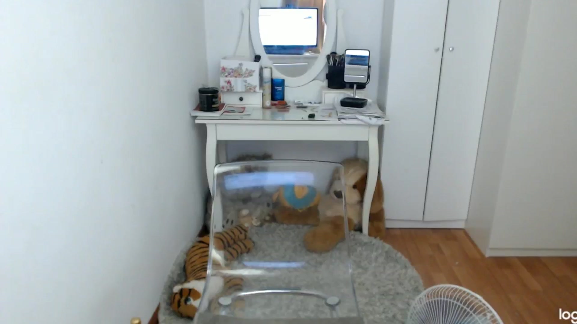 Gallery image thumbnail from SummerJewel's myfreecams stream on, 07/08/2024, 08:11 image 8 of 20