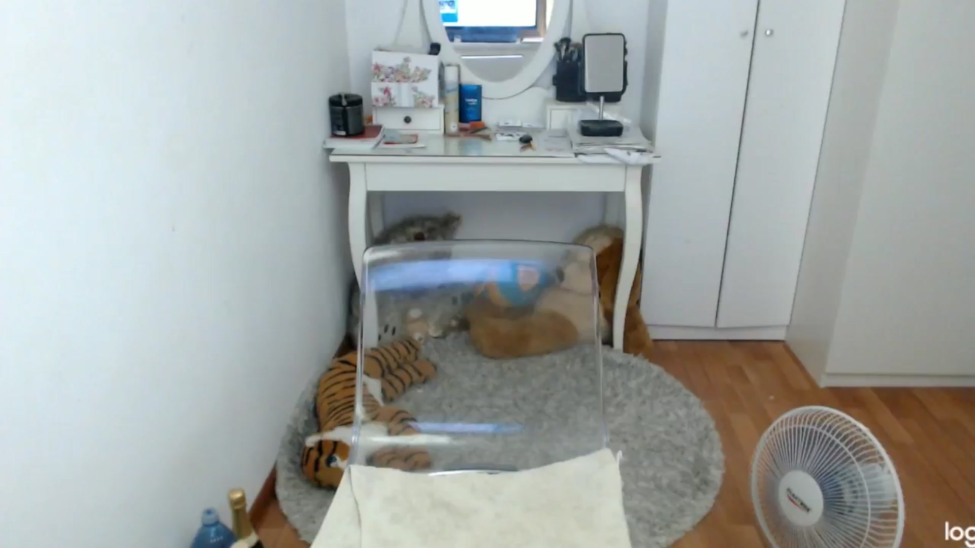 Gallery image thumbnail from SummerJewel's myfreecams stream on, 07/09/2024, 07:37 image 13 of 20
