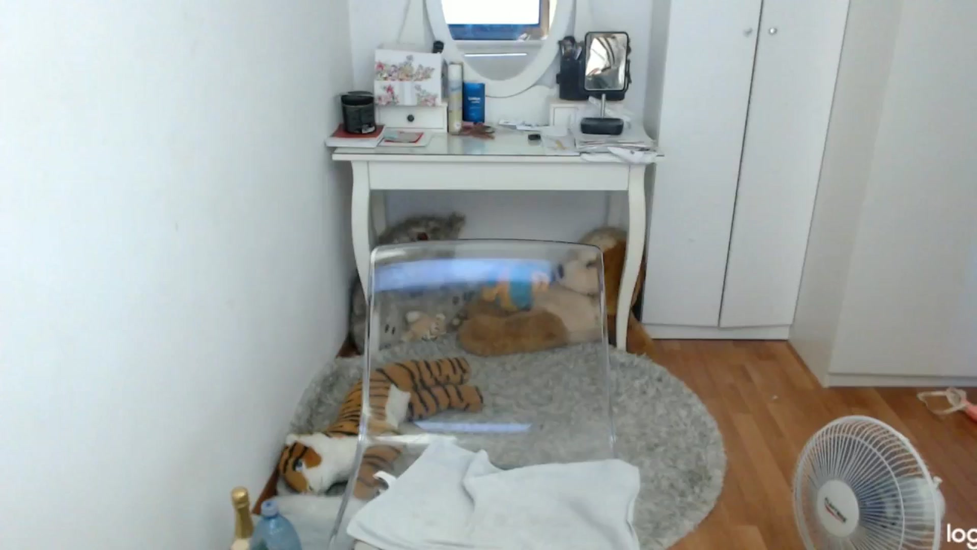 Gallery image thumbnail from SummerJewel's myfreecams stream on, 07/10/2024, 07:03 image 10 of 20