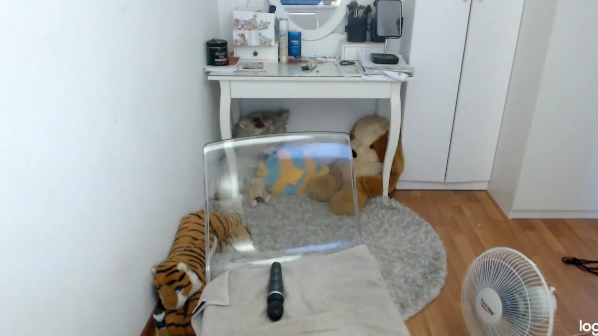 Gallery image thumbnail from SummerJewel's myfreecams stream on, 07/13/2024, 08:41 image 11 of 20