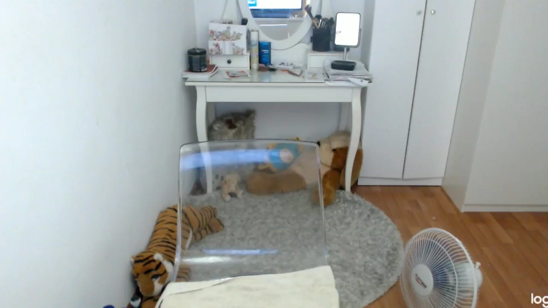 Gallery image thumbnail from SummerJewel's myfreecams stream on, 07/14/2024, 07:22 image 13 of 20