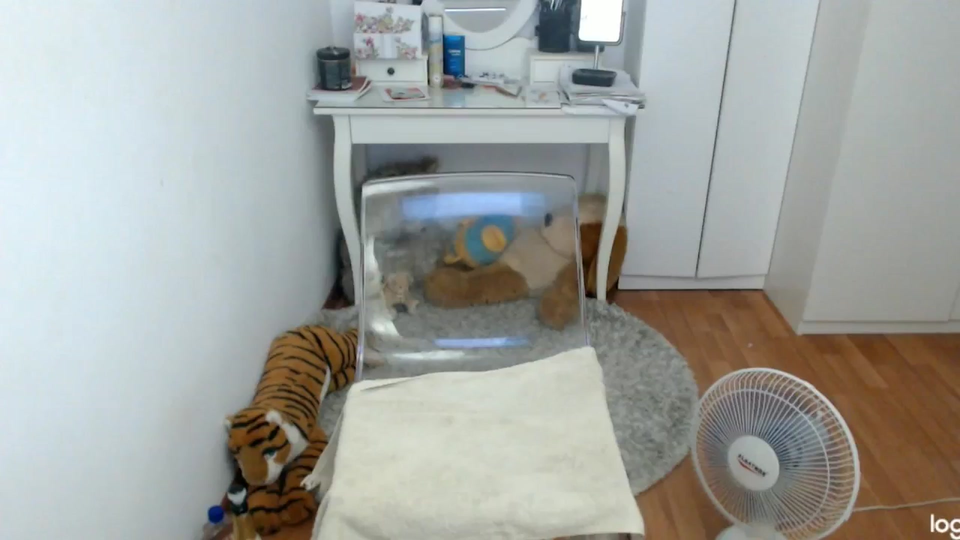 Gallery image thumbnail from SummerJewel's myfreecams stream on, 07/14/2024, 07:22 image 2 of 20