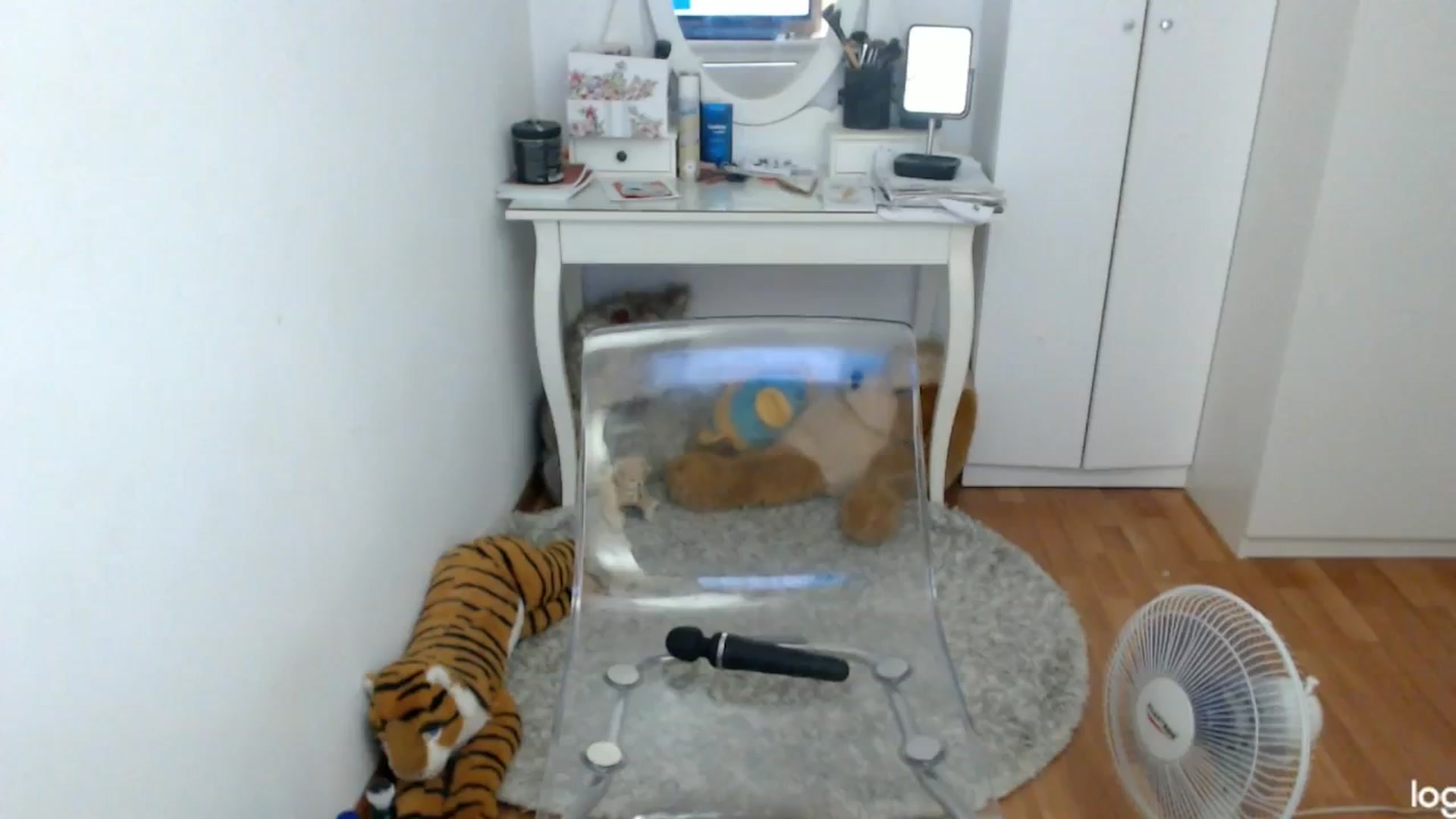 Gallery image thumbnail from SummerJewel's myfreecams stream on, 07/14/2024, 08:54 image 11 of 20