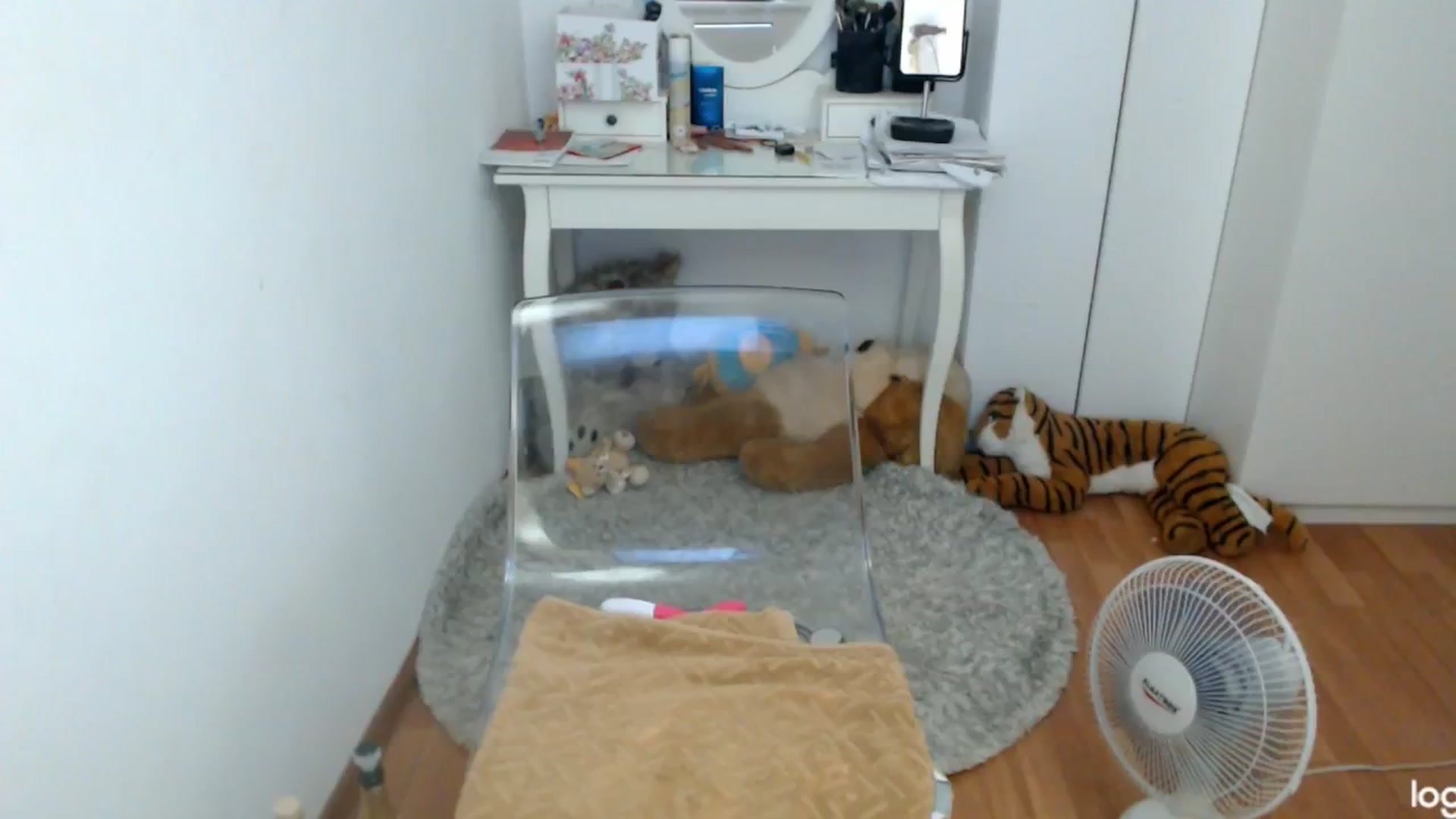 Gallery image thumbnail from SummerJewel's myfreecams stream on, 07/17/2024, 07:29 image 14 of 20
