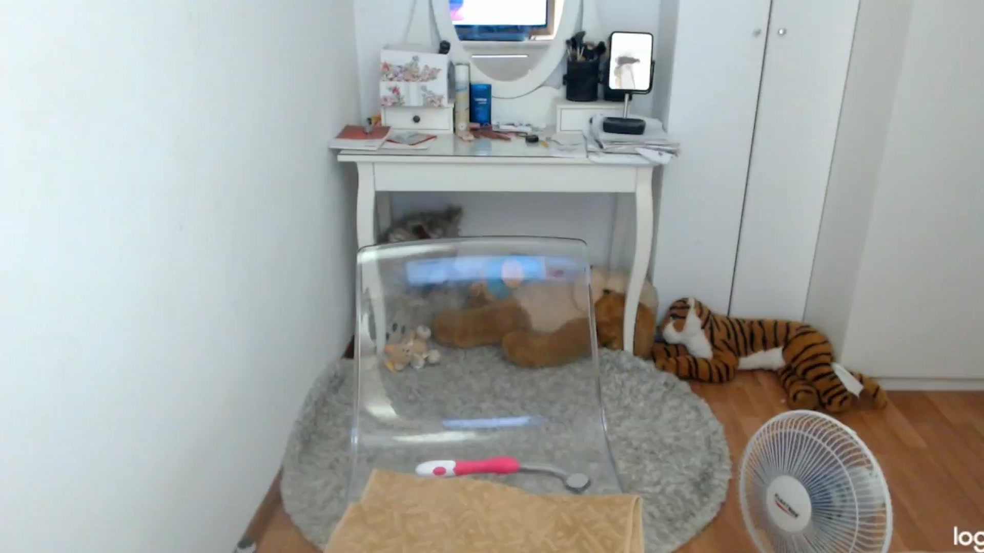 Gallery image thumbnail from SummerJewel's myfreecams stream on, 07/17/2024, 07:29 image 20 of 20