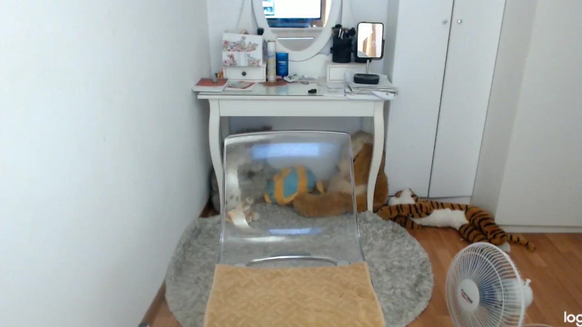 Gallery image thumbnail from SummerJewel's myfreecams stream on, 07/18/2024, 08:11 image 13 of 20