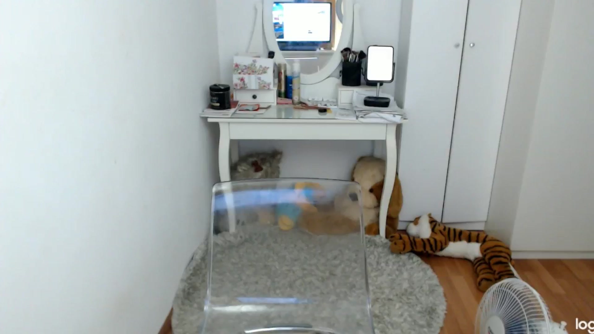 Gallery image thumbnail from SummerJewel's myfreecams stream on, 08/01/2024, 10:07 image 13 of 20
