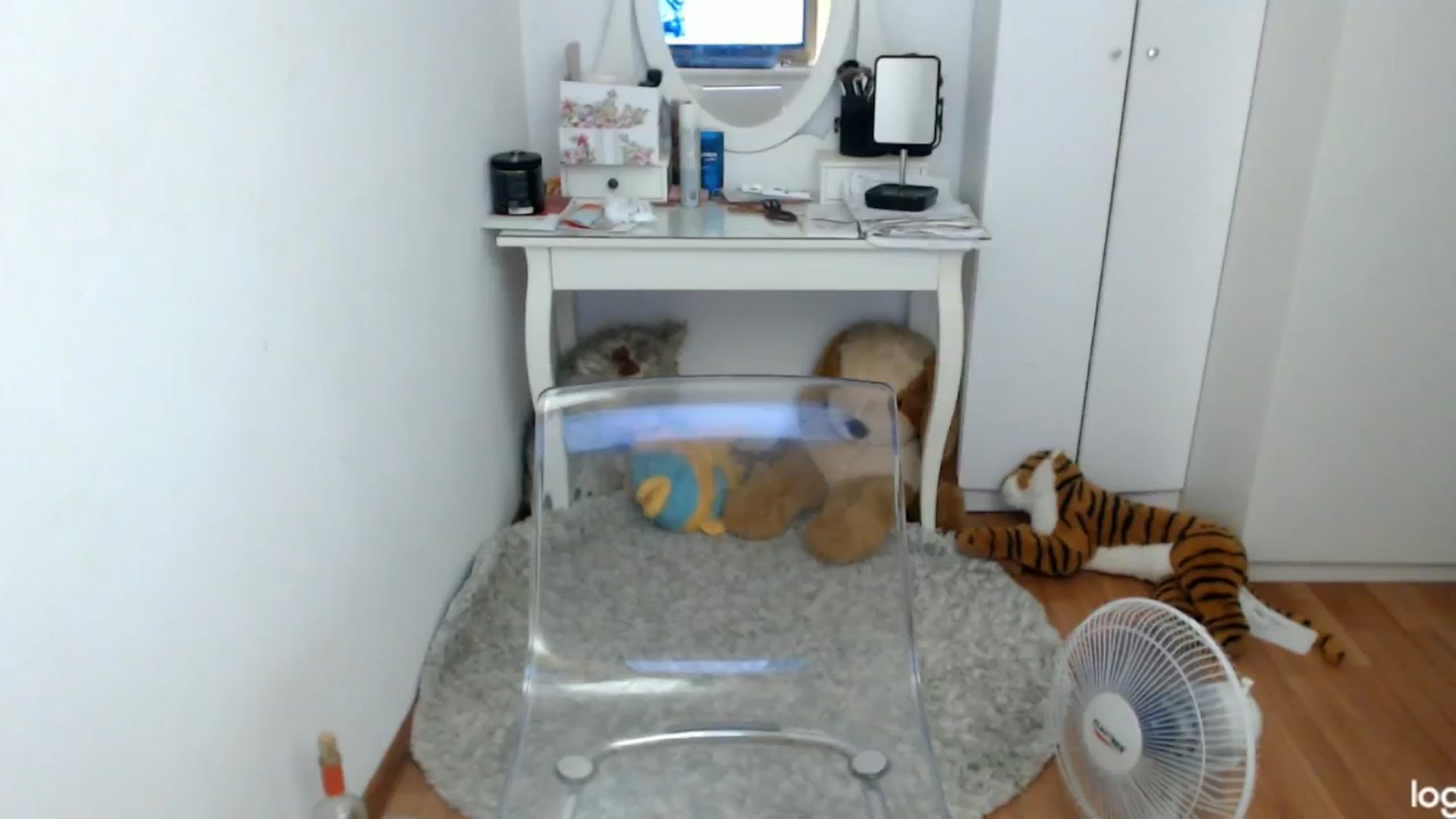 Gallery image thumbnail from SummerJewel's myfreecams stream on, 08/05/2024, 06:37 image 6 of 20