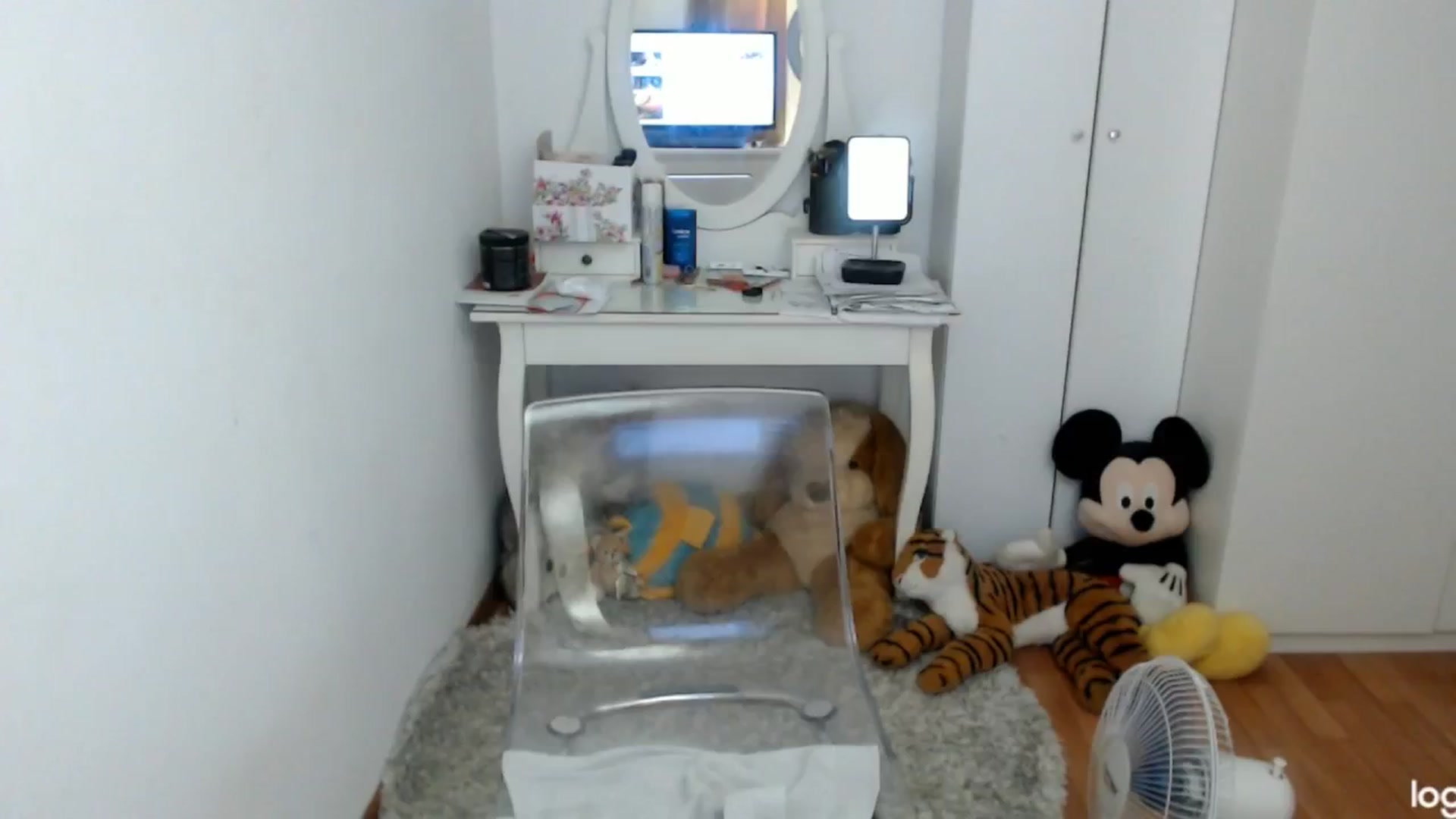 Gallery image thumbnail from SummerJewel's myfreecams stream on, 08/09/2024, 09:11 image 15 of 20