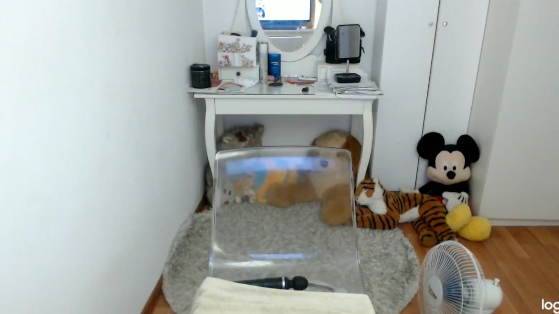 Gallery image thumbnail from SummerJewel's myfreecams stream on, 08/10/2024, 09:02 image 20 of 20