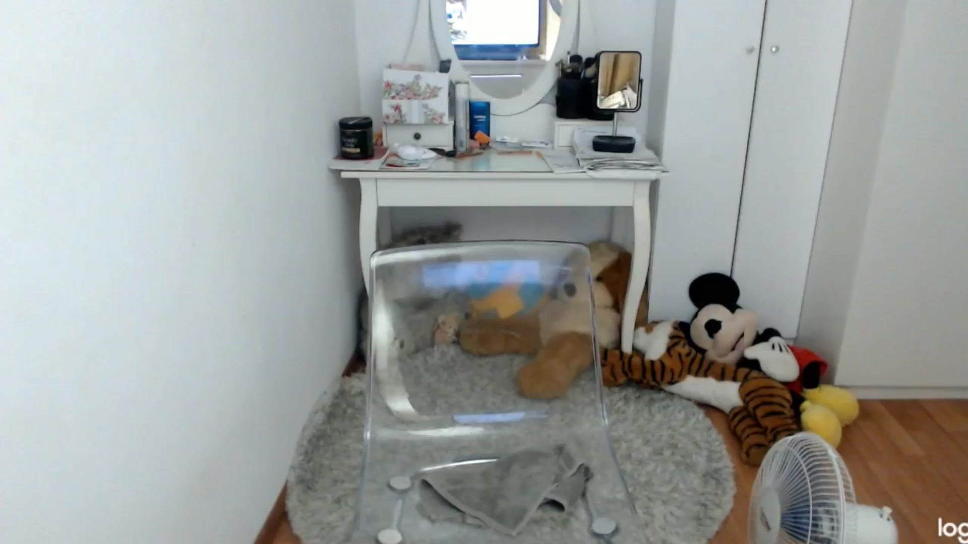 Gallery image thumbnail from SummerJewel's myfreecams stream on, 08/13/2024, 08:49 image 7 of 20