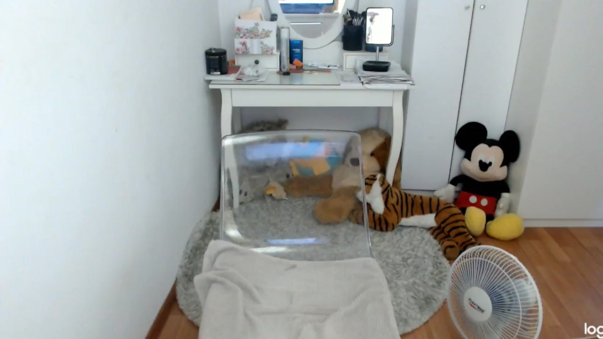 Gallery image thumbnail from SummerJewel's myfreecams stream on, 08/16/2024, 07:45 image 1 of 20