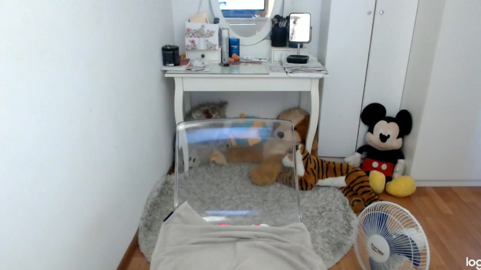 Gallery image thumbnail from SummerJewel's myfreecams stream on, 08/16/2024, 09:02 image 13 of 20