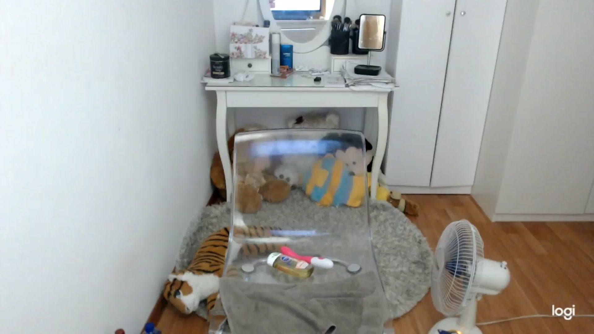 Gallery image thumbnail from SummerJewel's myfreecams stream on, 08/25/2024, 09:56 image 17 of 20