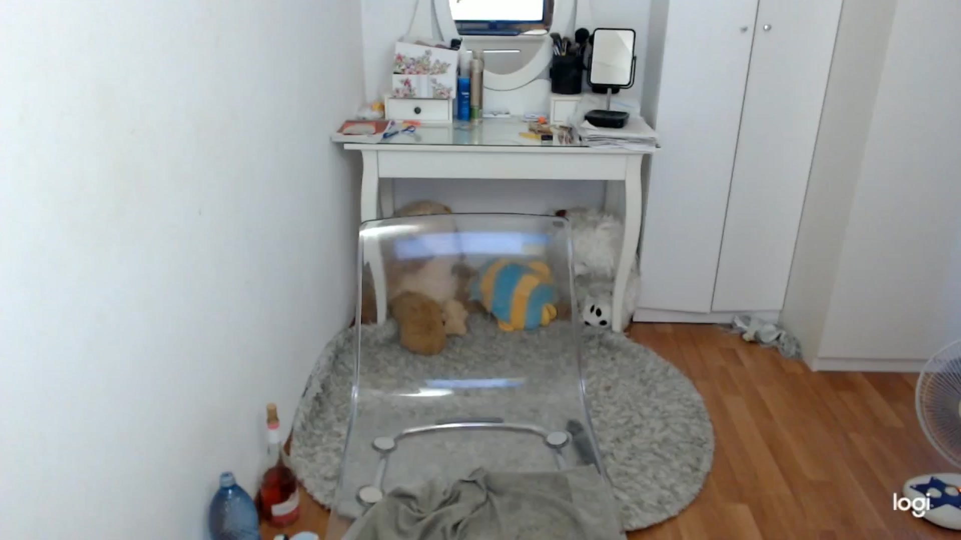 Gallery image thumbnail from SummerJewel's myfreecams stream on, 06/08/2025, 09:10 image 12 of 20