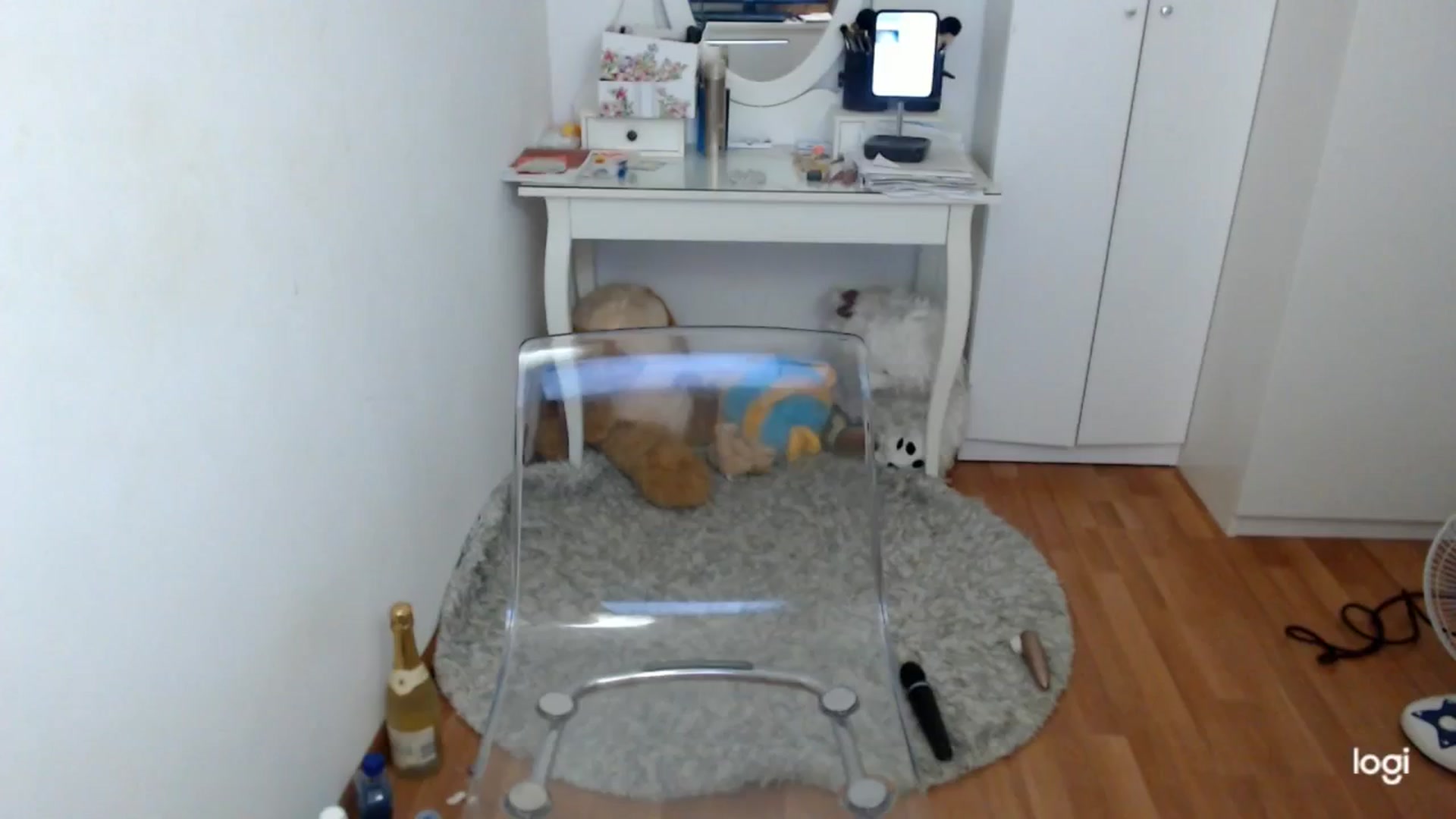 Gallery image thumbnail from SummerJewel's myfreecams stream on, 06/13/2025, 08:01 image 17 of 20