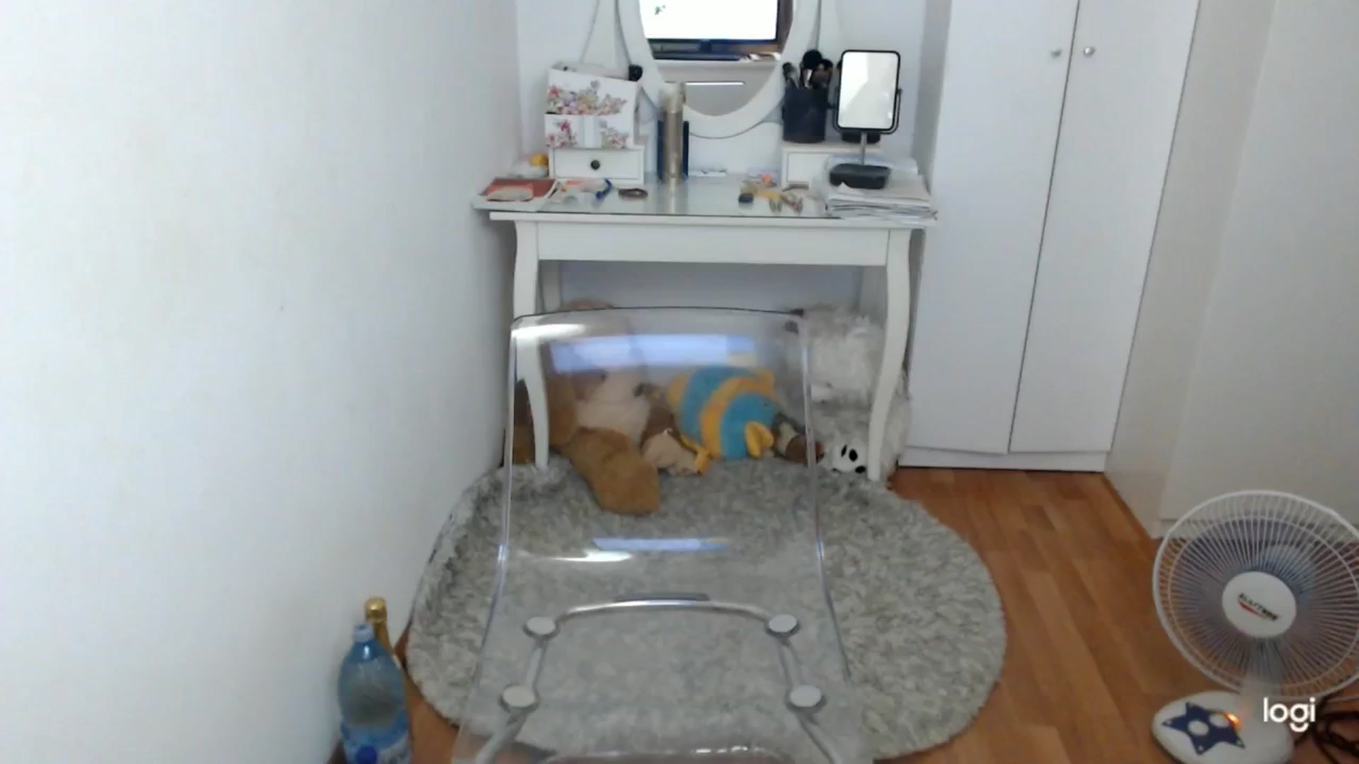 Gallery image thumbnail from SummerJewel's myfreecams stream on, 06/14/2025, 08:50 image 8 of 20