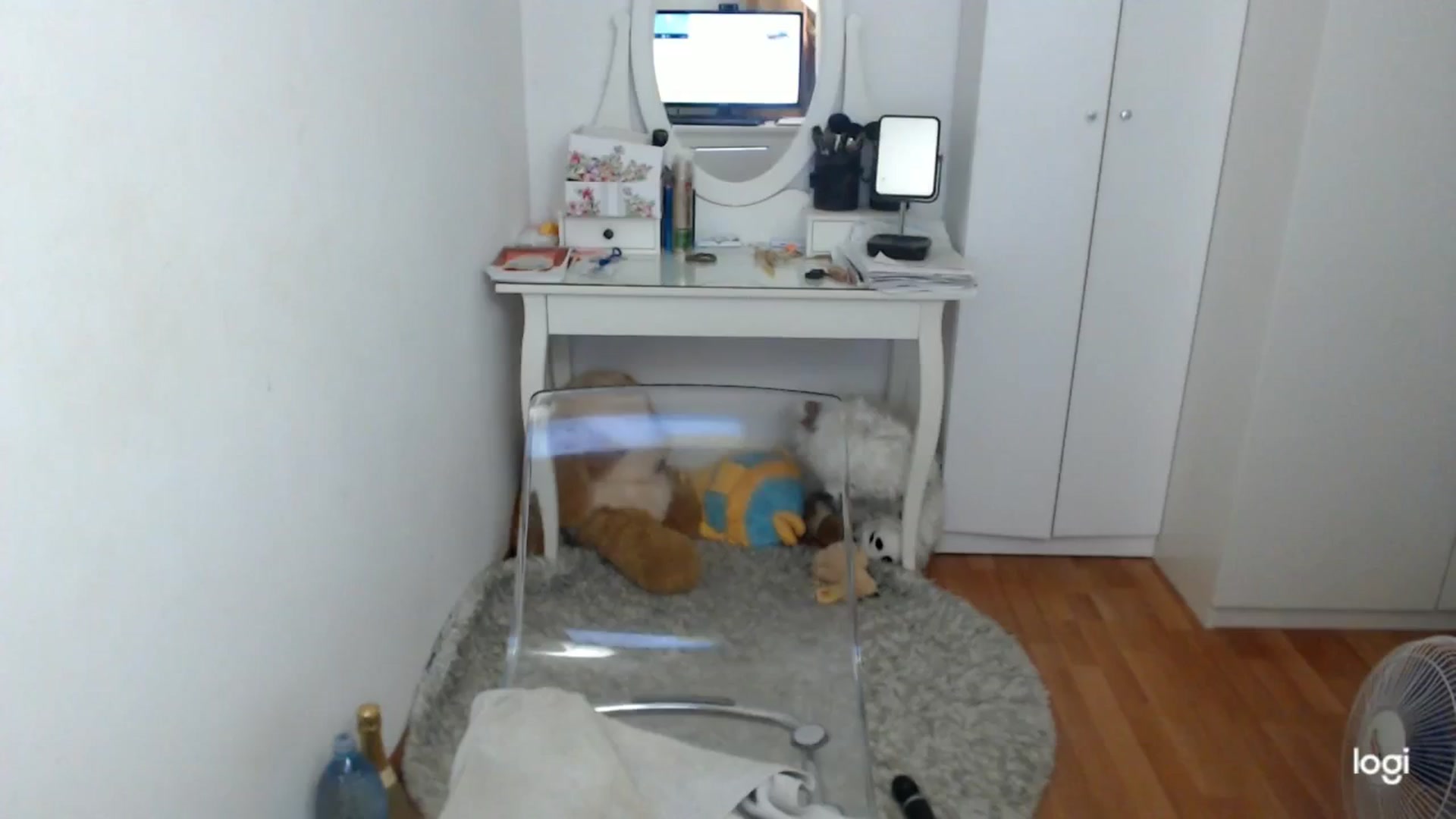 Gallery image thumbnail from SummerJewel's myfreecams stream on, 06/16/2025, 08:14 image 16 of 20