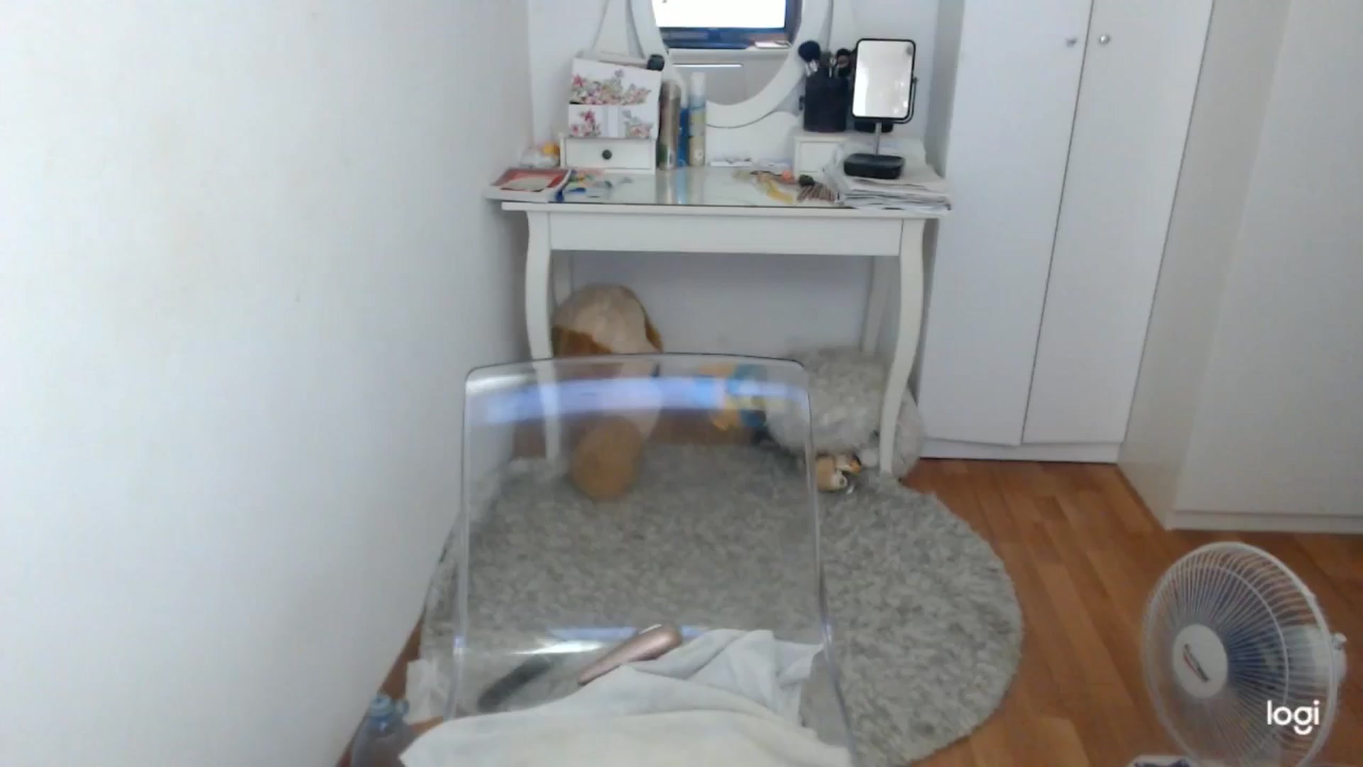 Gallery image thumbnail from SummerJewel's myfreecams stream on, 06/30/2025, 08:39 image 17 of 20