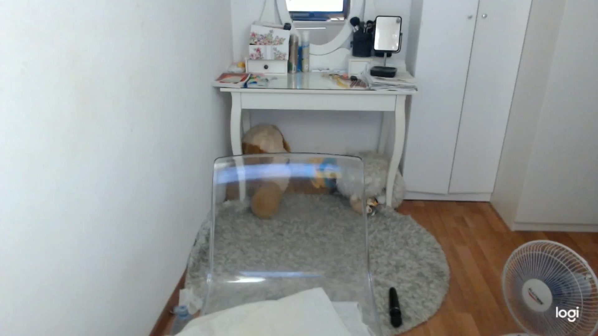 Gallery image thumbnail from SummerJewel's myfreecams stream on, 06/30/2025, 08:39 image 13 of 20