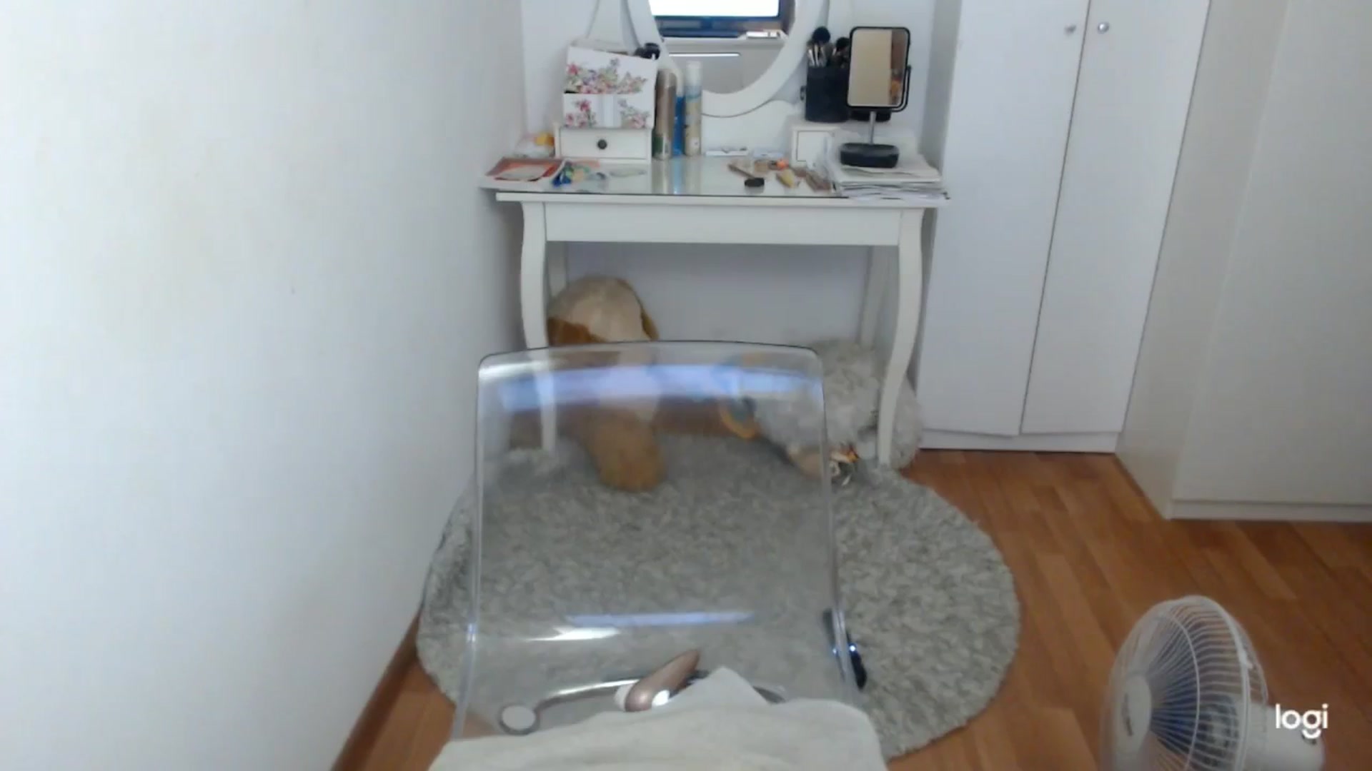 Gallery image thumbnail from SummerJewel's myfreecams stream on, 07/01/2025, 08:52 image 17 of 20