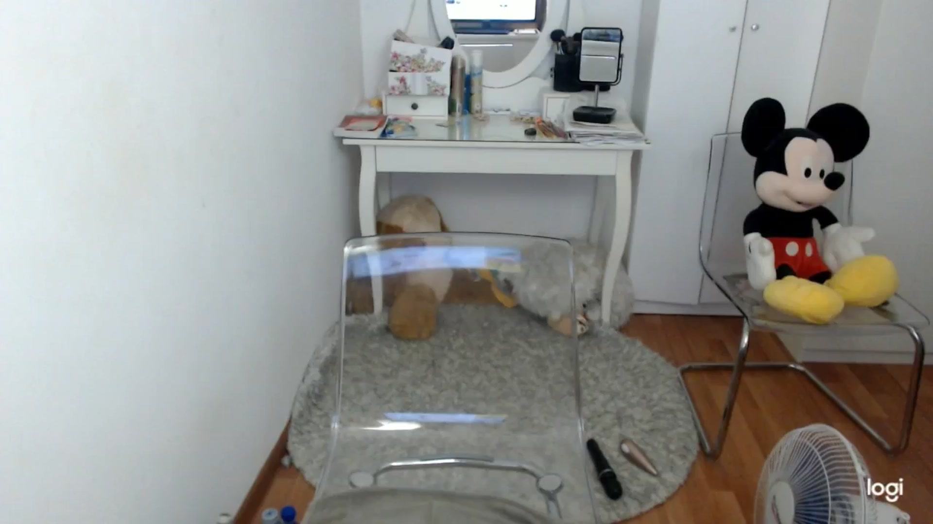 Gallery image thumbnail from SummerJewel's myfreecams stream on, 07/03/2025, 08:22 image 11 of 20