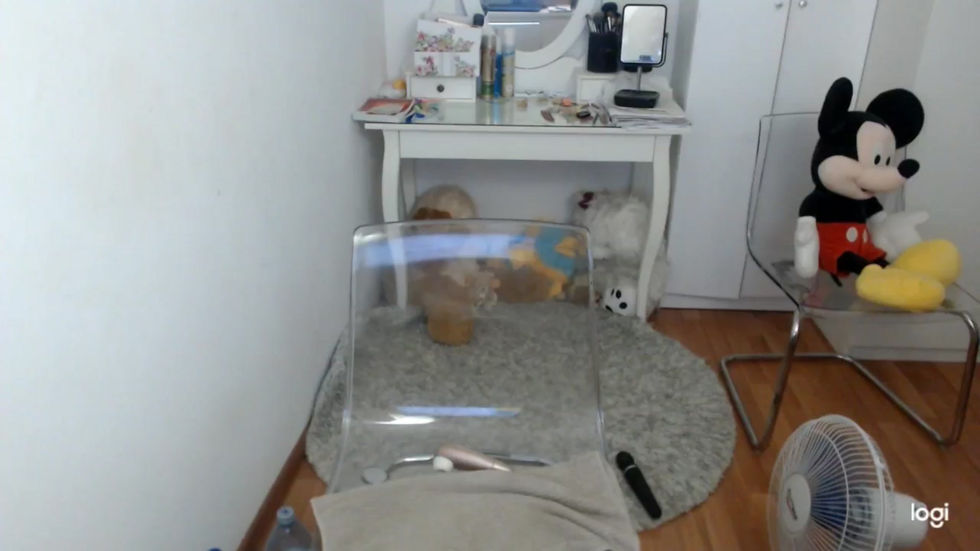 Gallery image thumbnail from SummerJewel's myfreecams stream on, 07/07/2025, 08:37 image 16 of 20