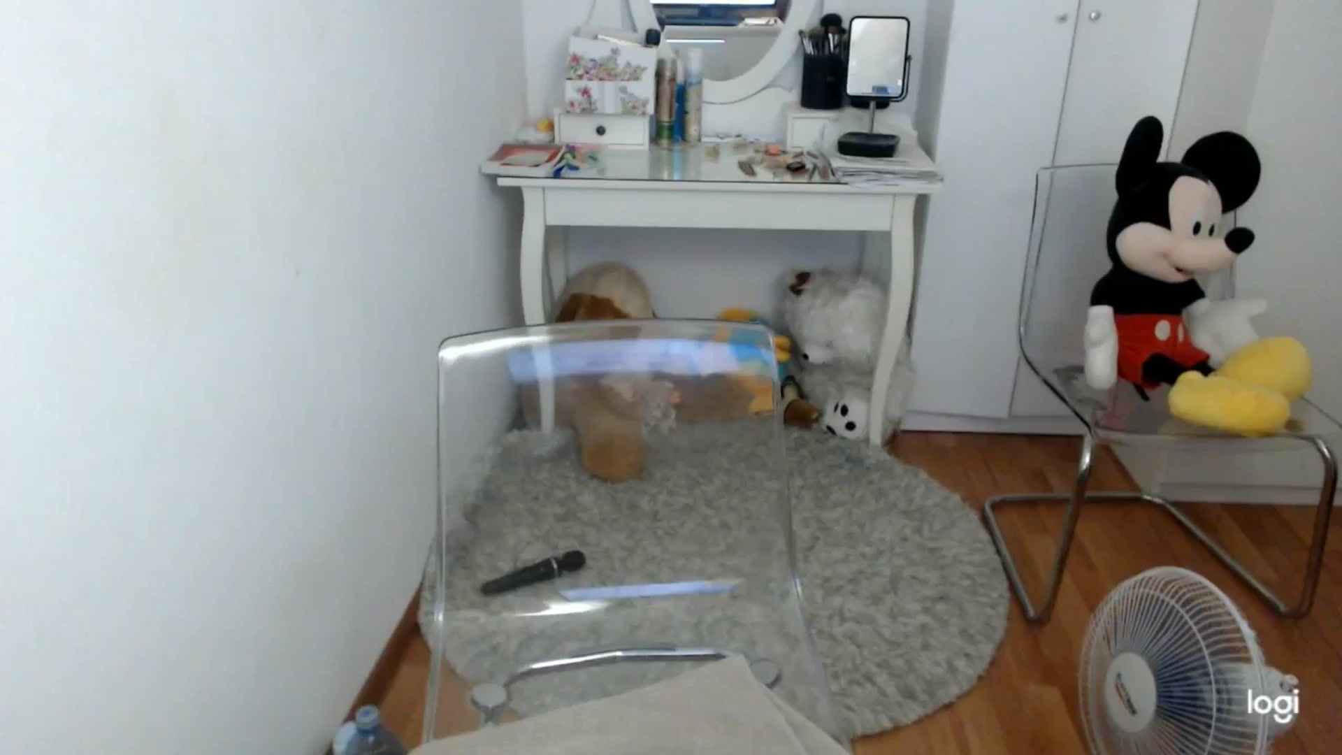 Gallery image thumbnail from SummerJewel's myfreecams stream on, 07/07/2025, 08:37 image 9 of 20
