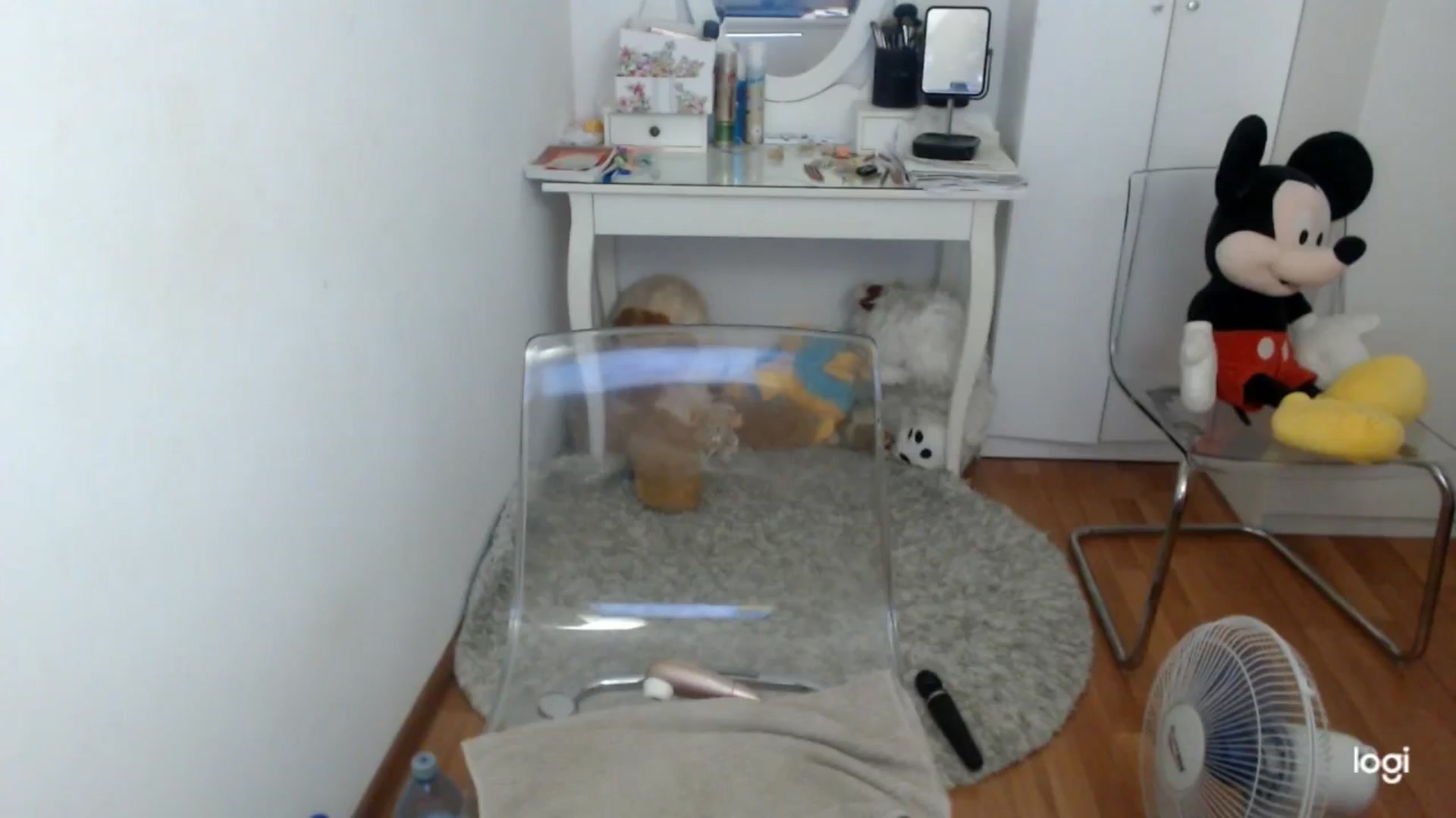 Gallery image thumbnail from SummerJewel's myfreecams stream on, 07/07/2025, 08:37 image 15 of 20