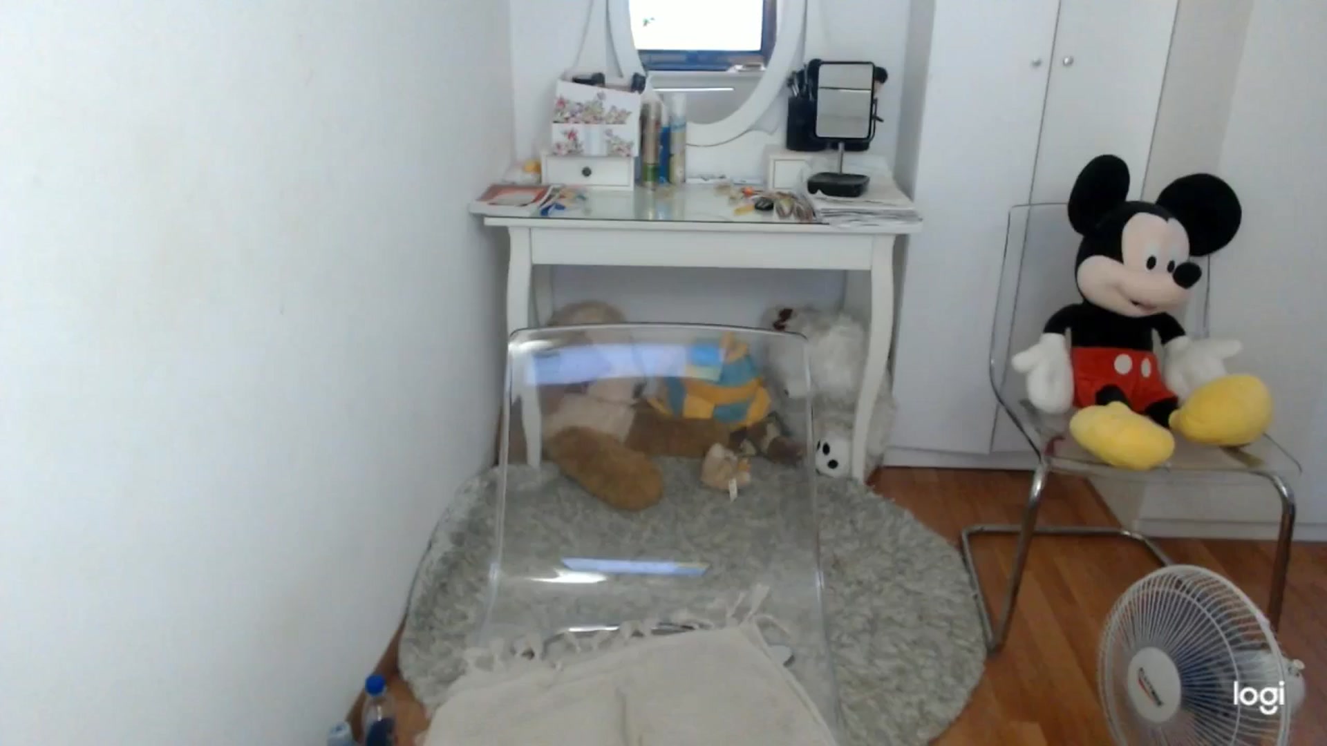 Gallery image thumbnail from SummerJewel's myfreecams stream on, 07/09/2025, 08:36 image 1 of 20