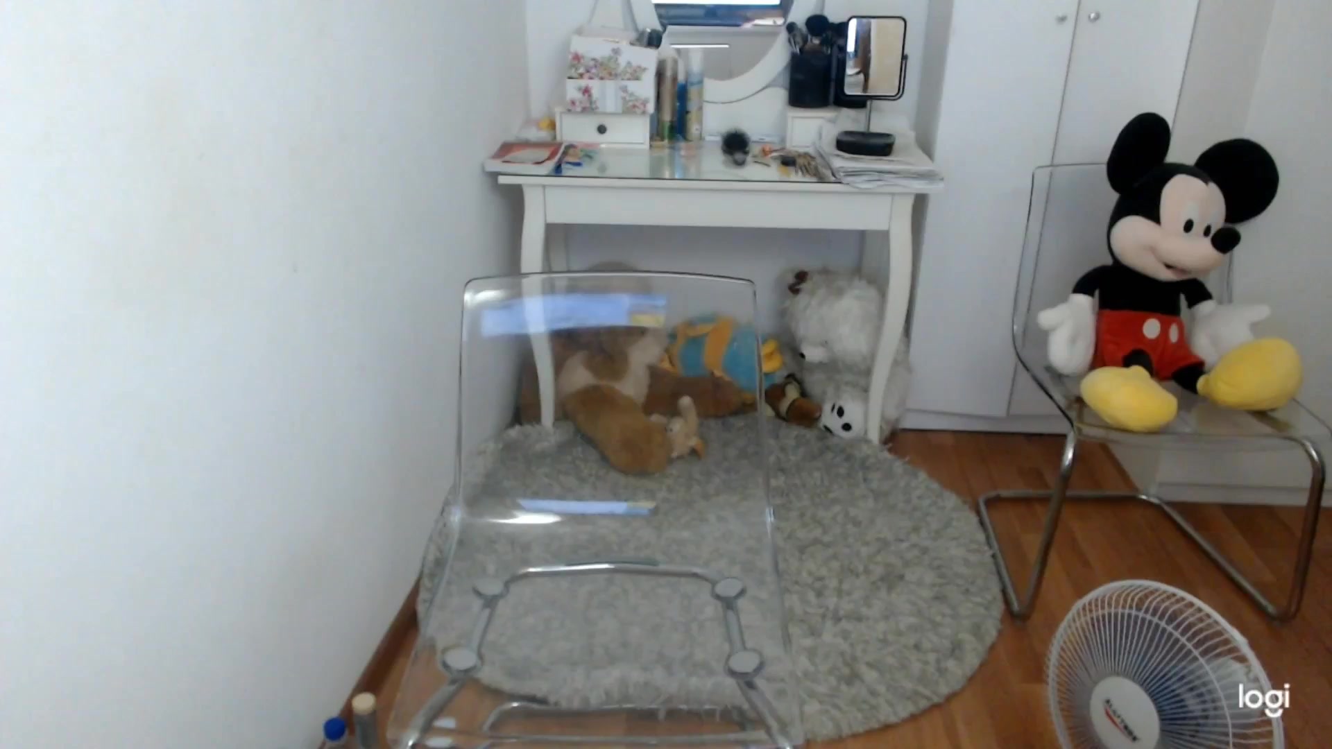 Gallery image thumbnail from SummerJewel's myfreecams stream on, 07/11/2025, 08:37 image 13 of 20