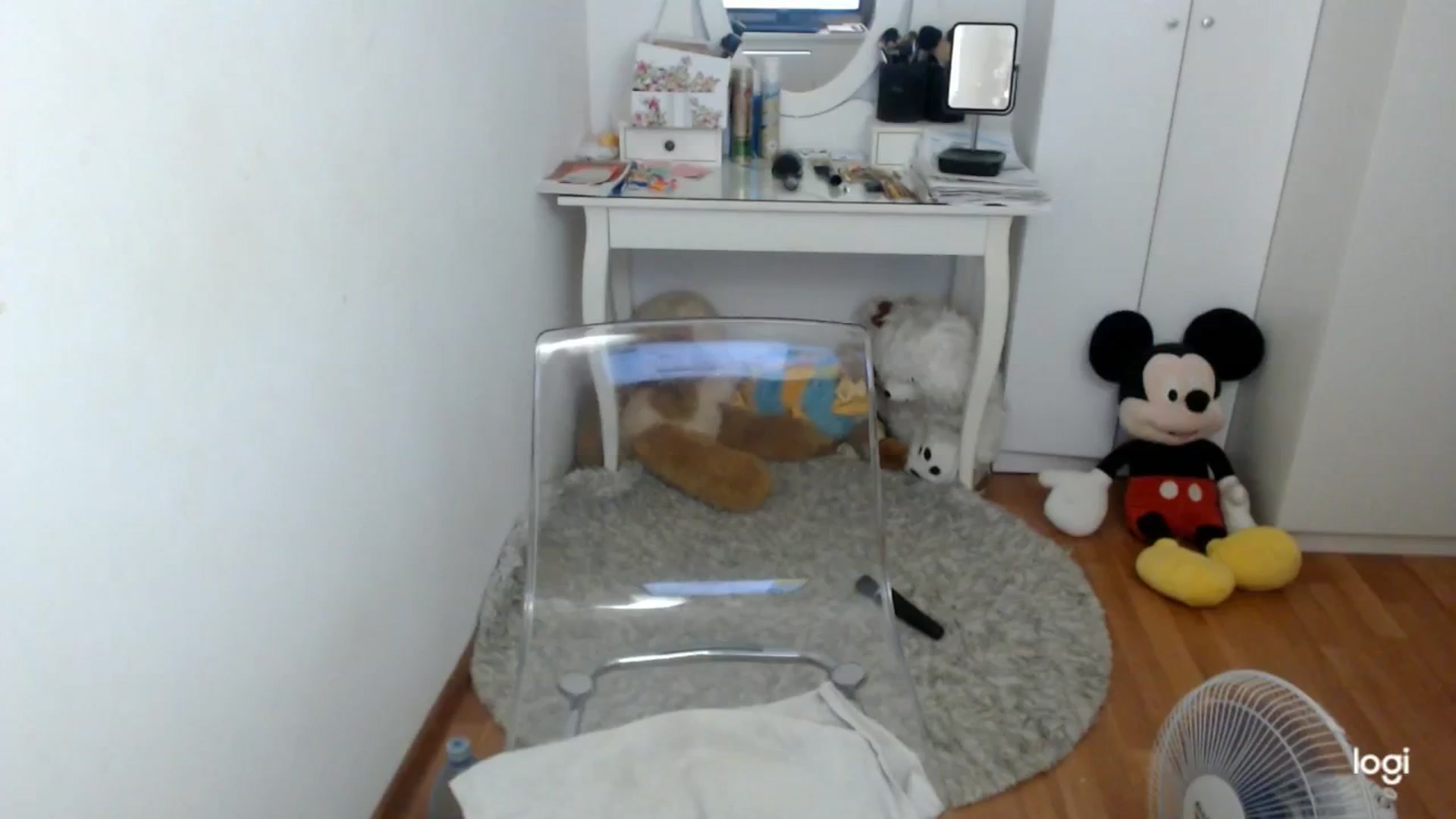 Gallery image thumbnail from SummerJewel's myfreecams stream on, 07/13/2025, 09:10 image 19 of 20