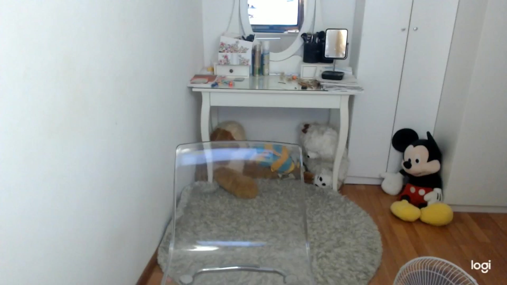 Gallery image thumbnail from SummerJewel's myfreecams stream on, 07/18/2025, 09:15 image 2 of 20