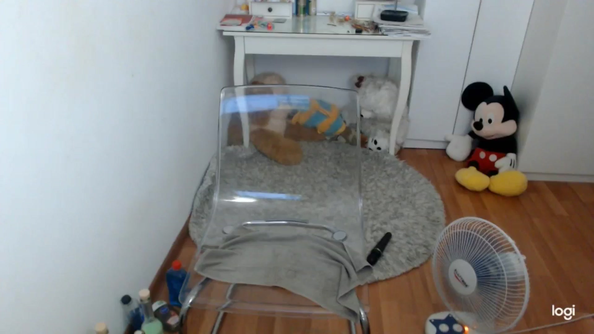 Gallery image thumbnail from SummerJewel's myfreecams stream on, 07/18/2025, 09:15 image 20 of 20