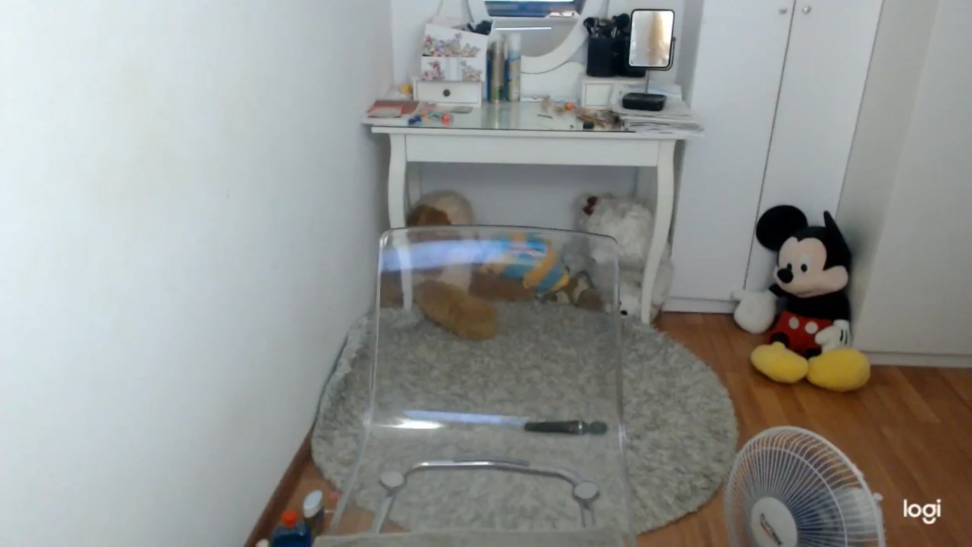 Gallery image thumbnail from SummerJewel's myfreecams stream on, 07/18/2025, 09:15 image 14 of 20