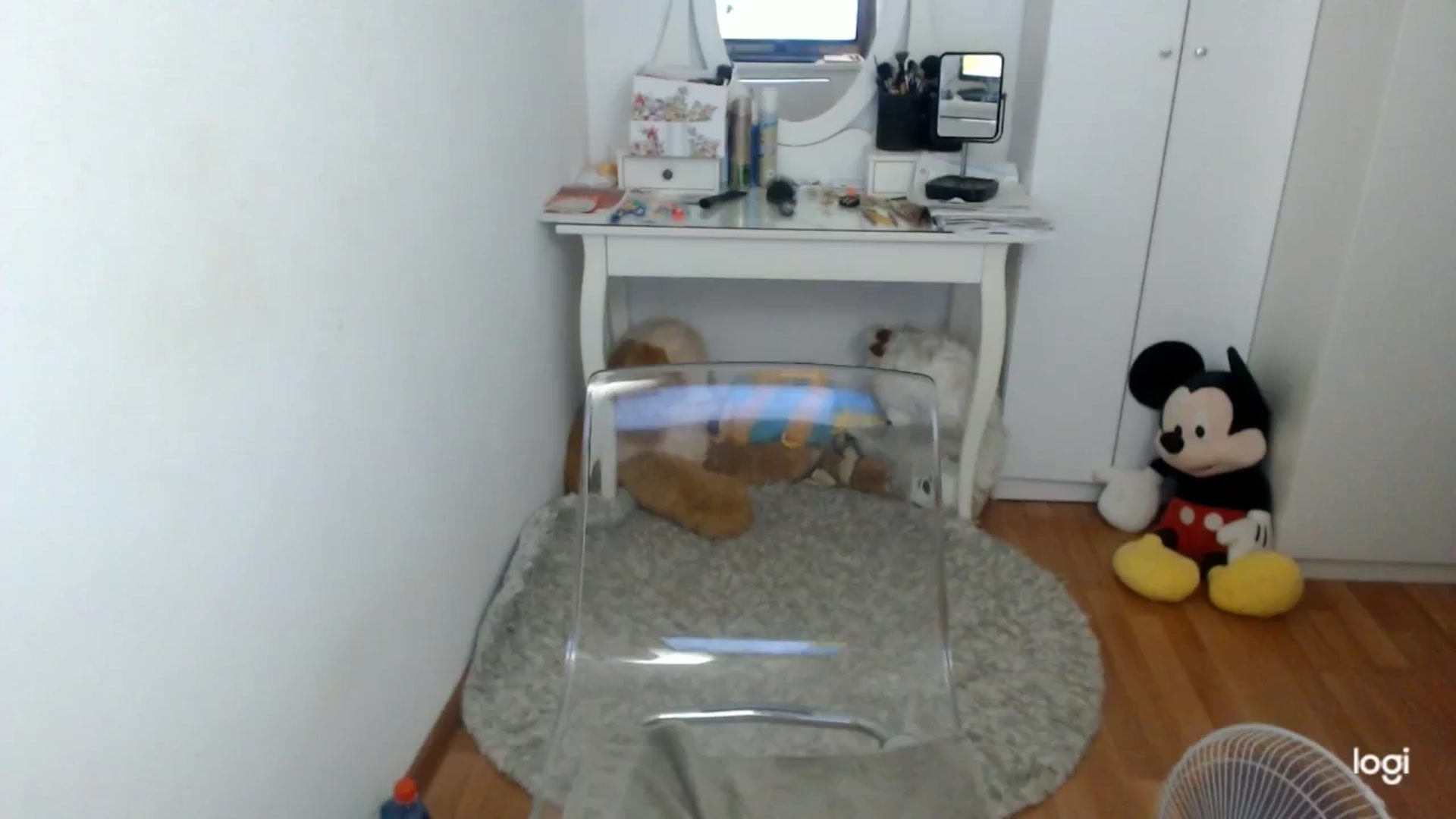 Gallery image thumbnail from SummerJewel's myfreecams stream on, 07/19/2025, 08:15 image 10 of 20