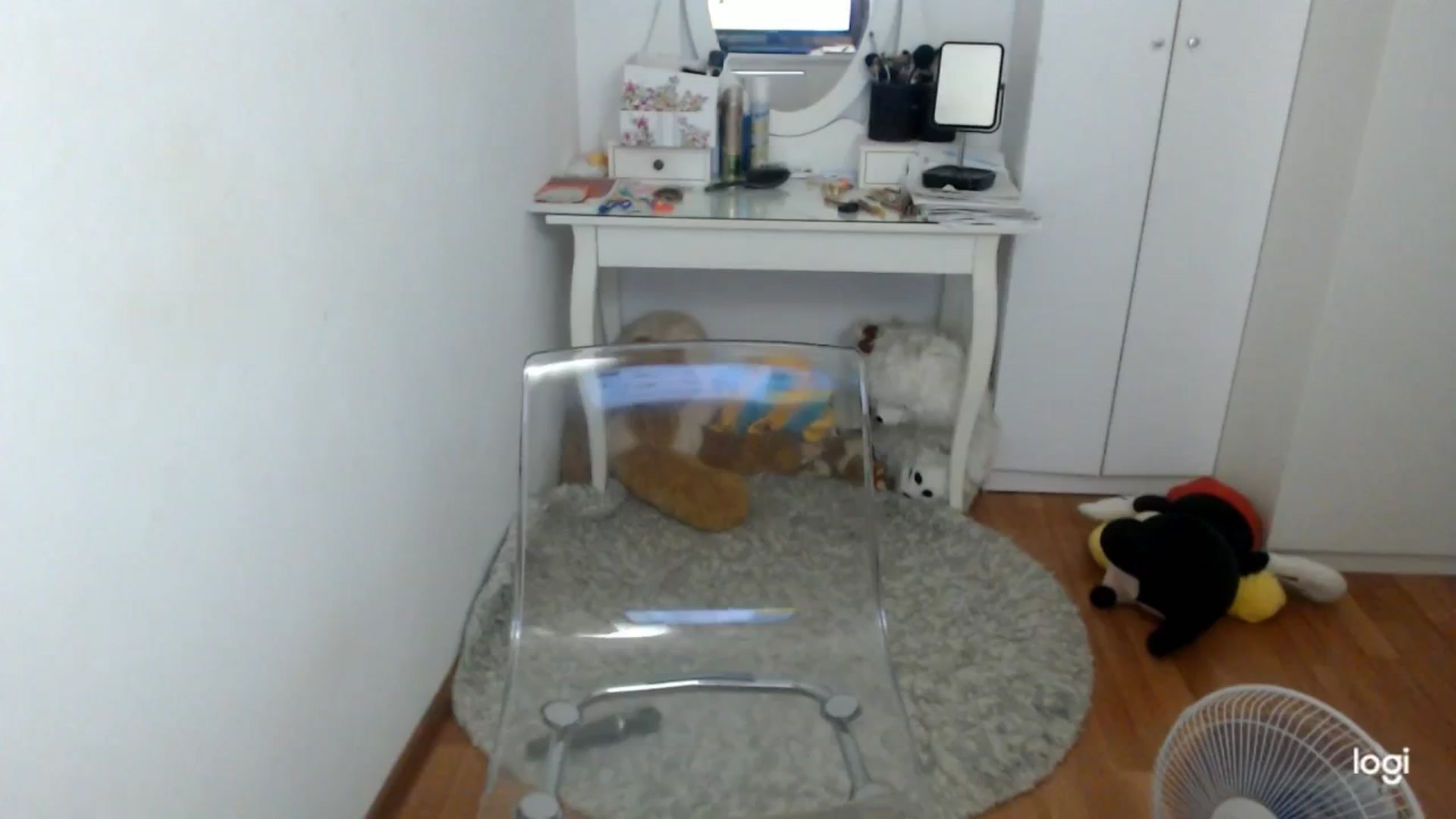 Gallery image thumbnail from SummerJewel's myfreecams stream on, 07/21/2025, 08:13 image 15 of 20