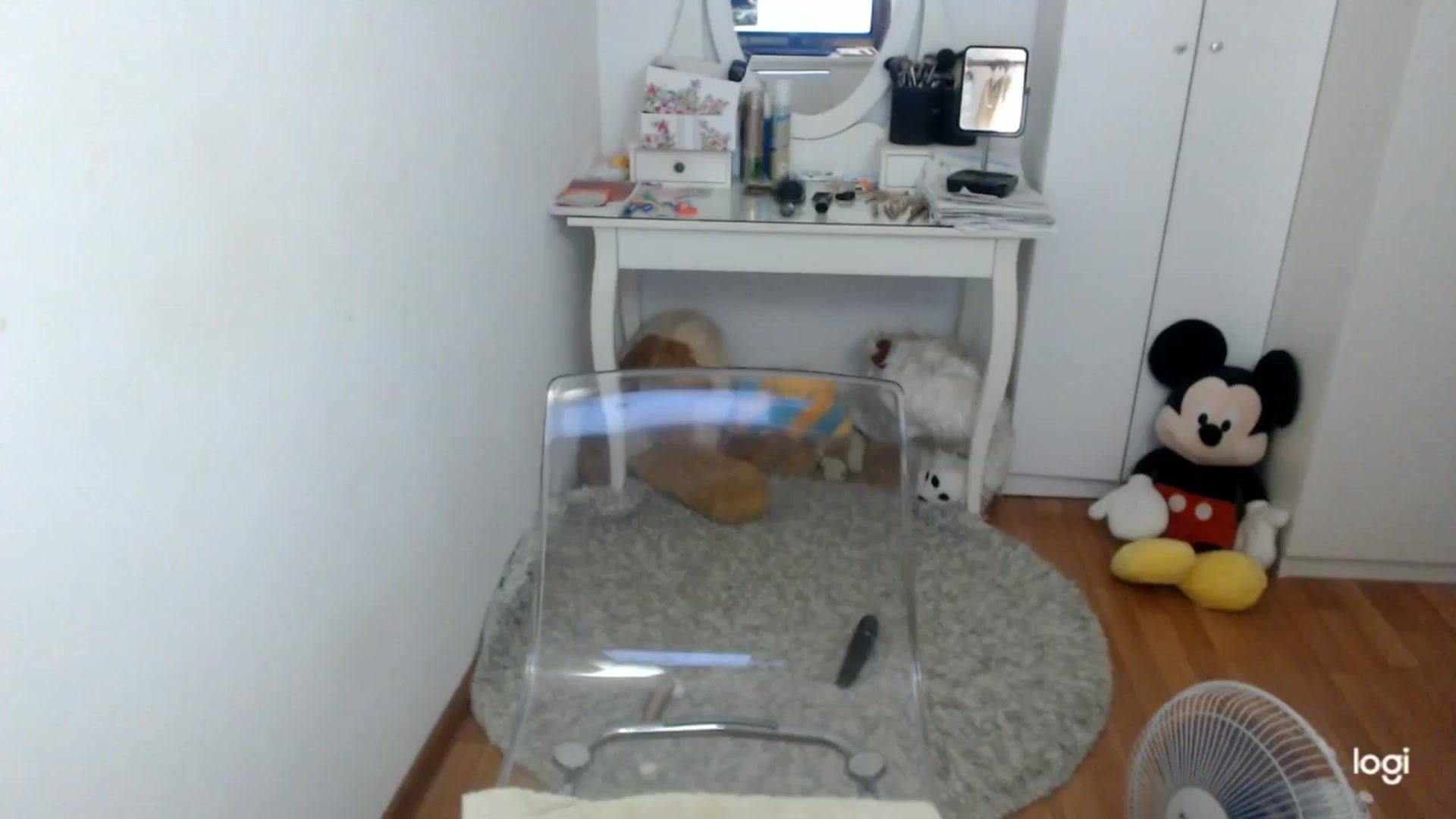 Gallery image thumbnail from SummerJewel's myfreecams stream on, 07/22/2025, 08:24 image 10 of 20