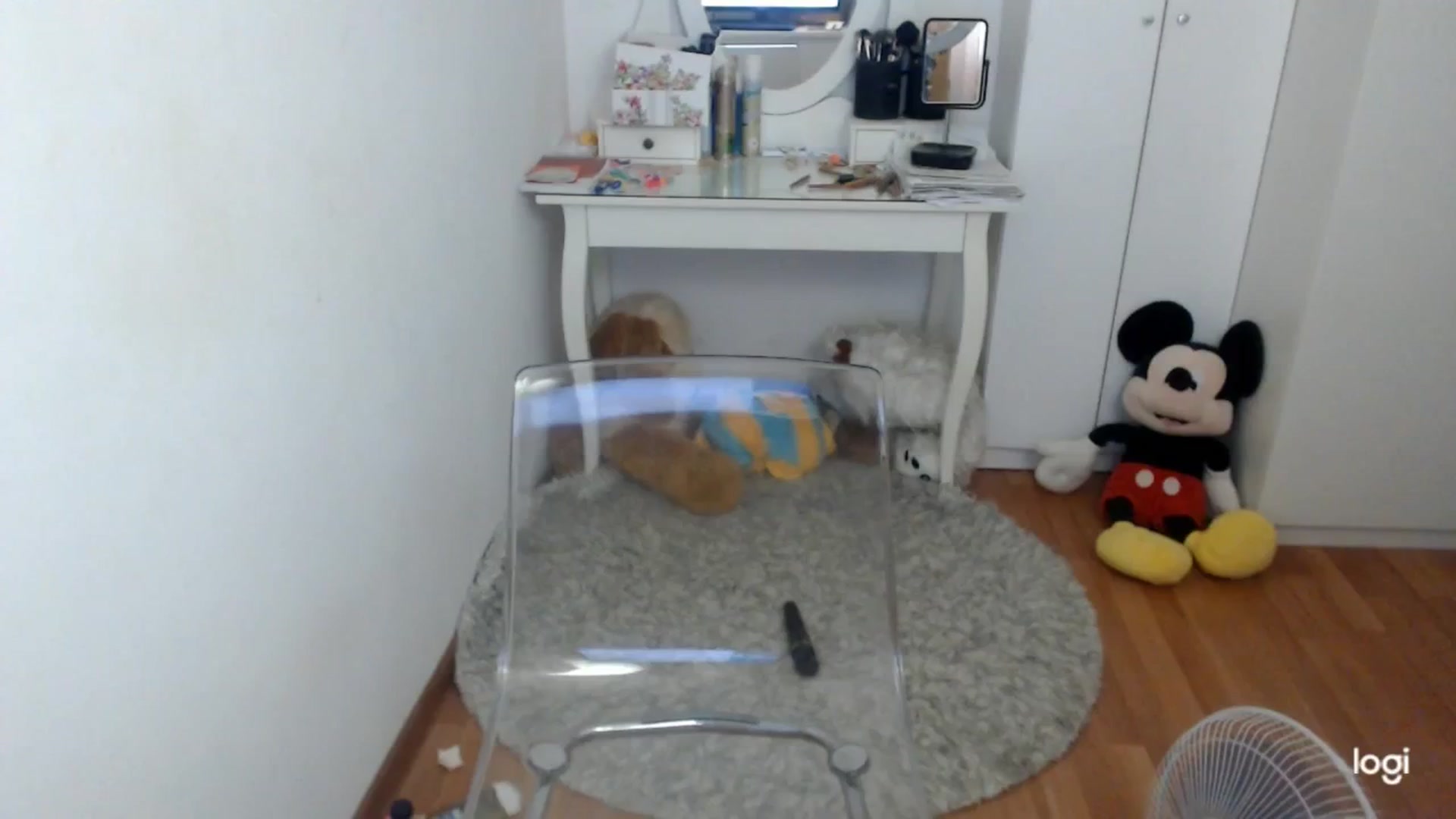 Gallery image thumbnail from SummerJewel's myfreecams stream on, 07/26/2025, 10:08 image 4 of 20