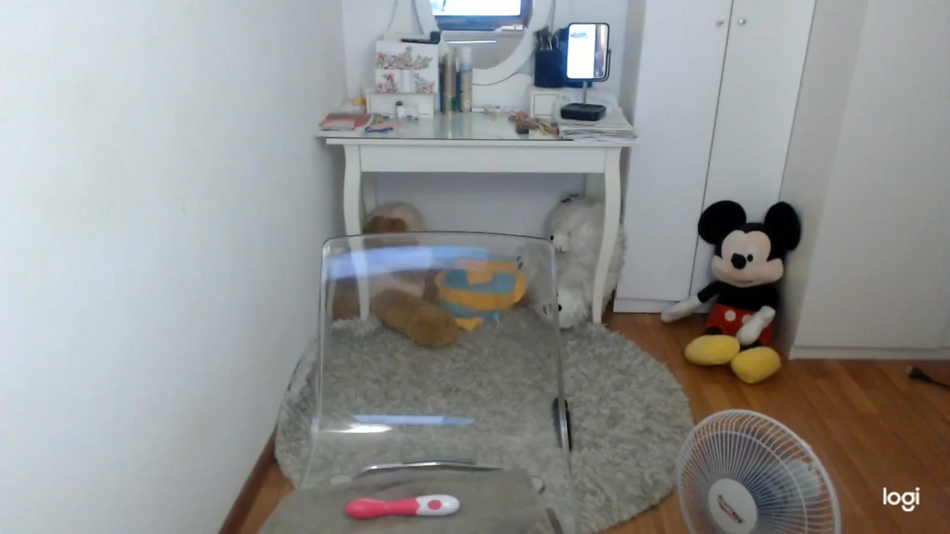 Gallery image thumbnail from SummerJewel's myfreecams stream on, 07/29/2025, 08:35 image 17 of 20