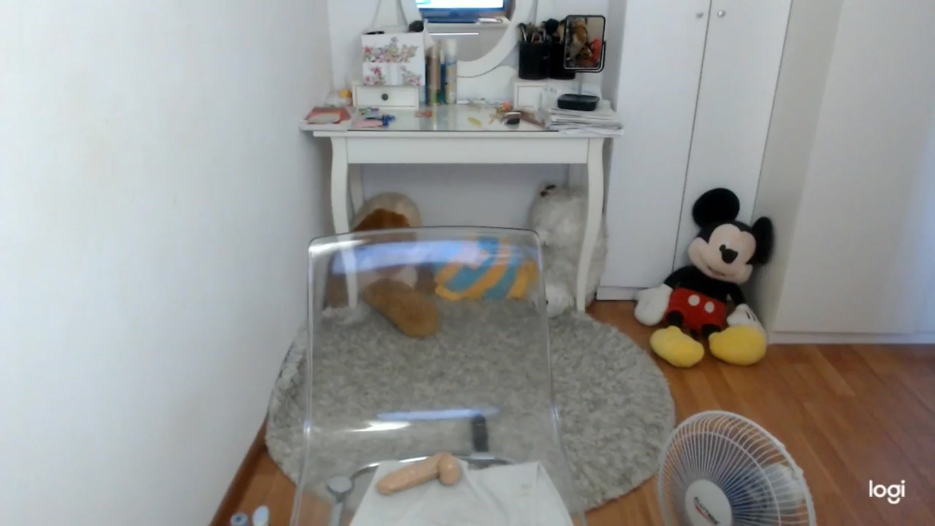 Gallery image thumbnail from SummerJewel's myfreecams stream on, 08/08/2025, 09:06 image 11 of 20