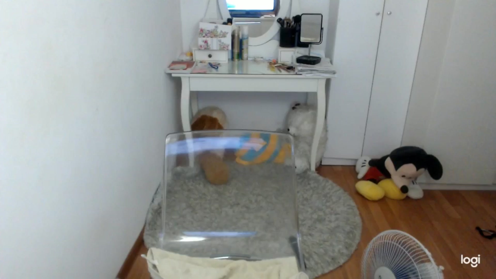 Gallery image thumbnail from SummerJewel's myfreecams stream on, 08/09/2025, 08:40 image 13 of 20