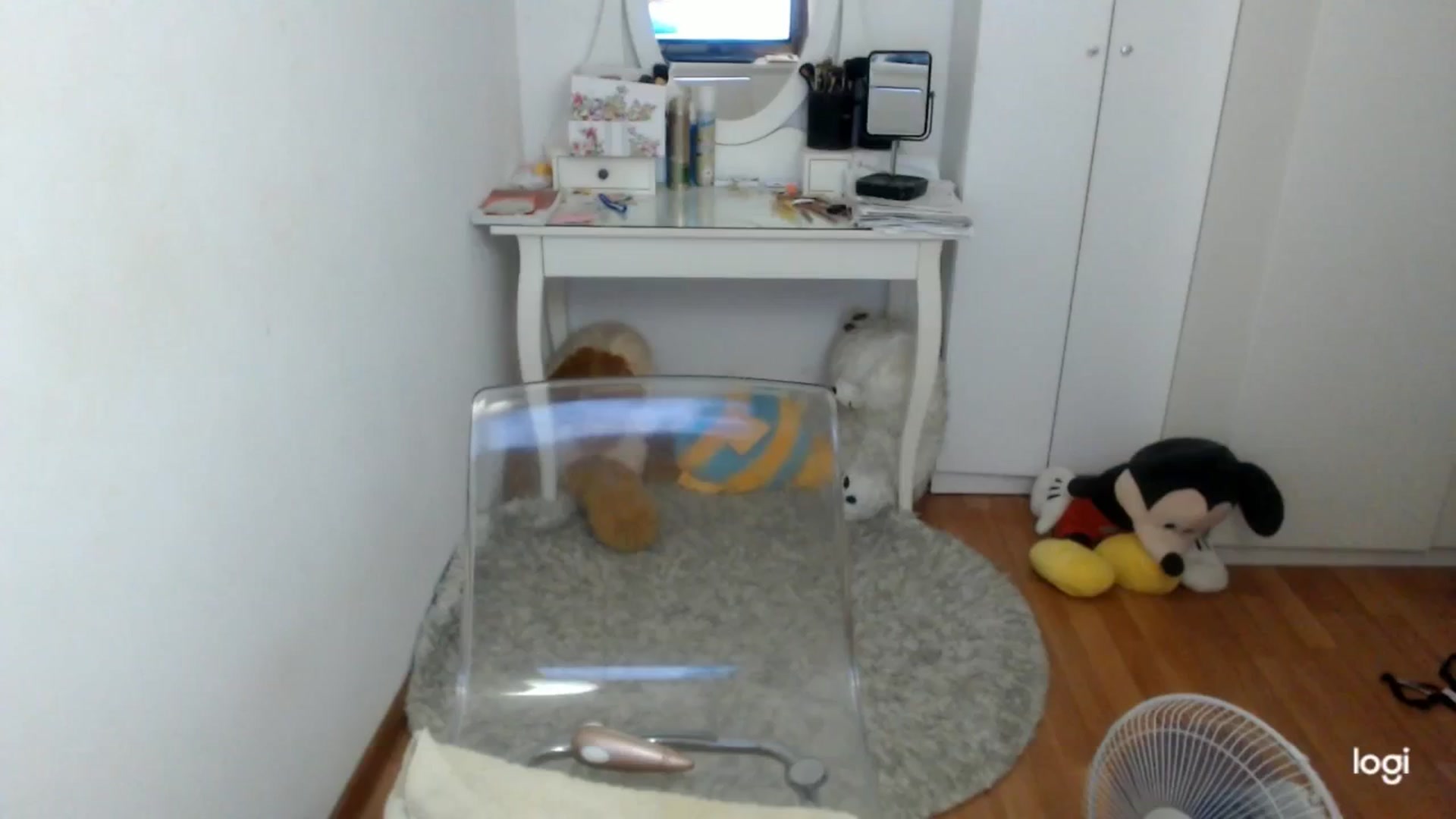 Gallery image thumbnail from SummerJewel's myfreecams stream on, 08/09/2025, 08:40 image 8 of 20