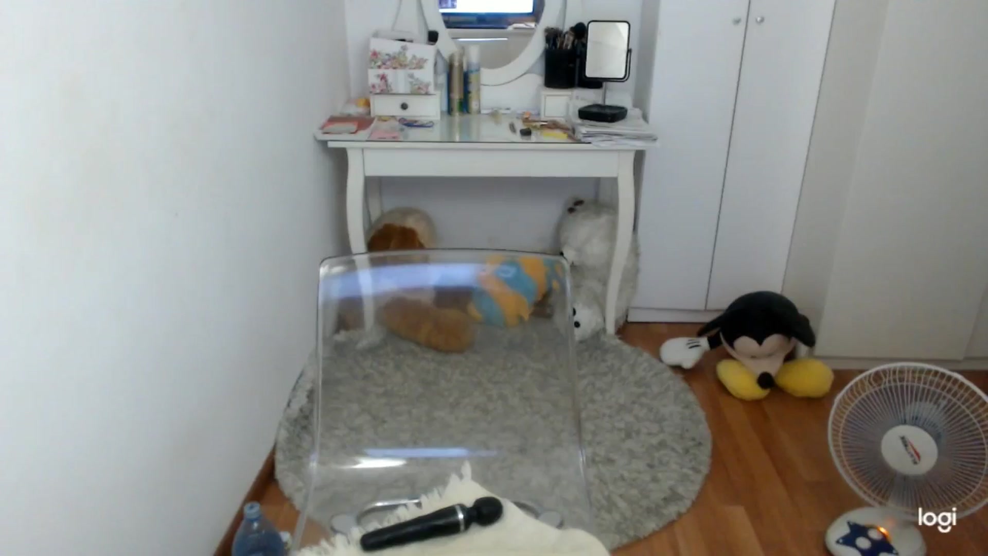 Gallery image thumbnail from SummerJewel's myfreecams stream on, 08/10/2025, 08:51 image 17 of 20