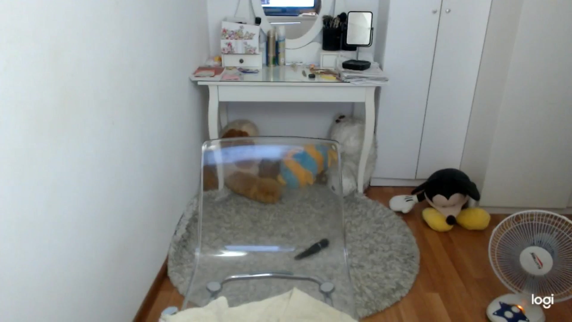 Gallery image thumbnail from SummerJewel's myfreecams stream on, 08/10/2025, 08:51 image 19 of 20